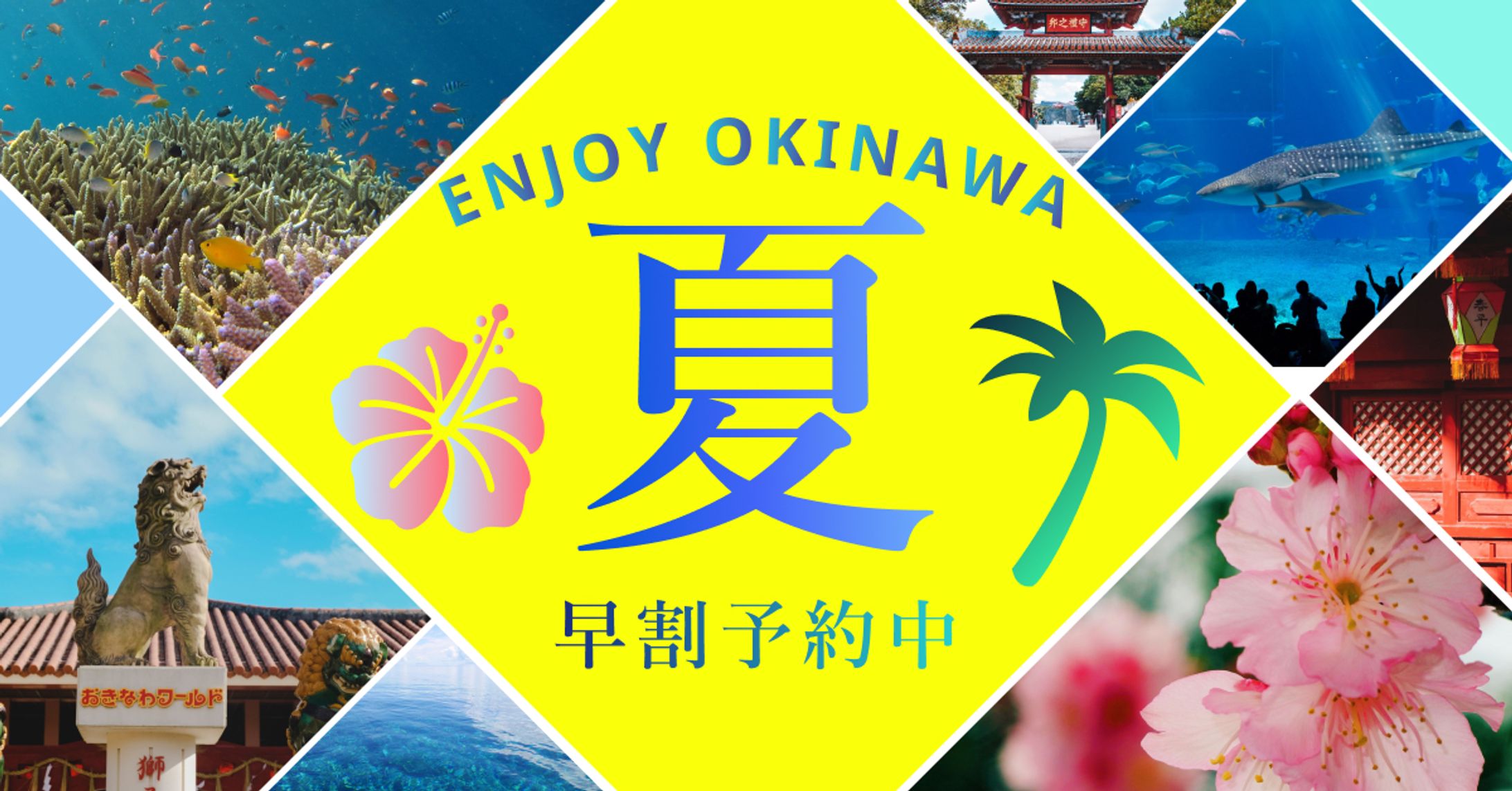 夏セール バナー-1