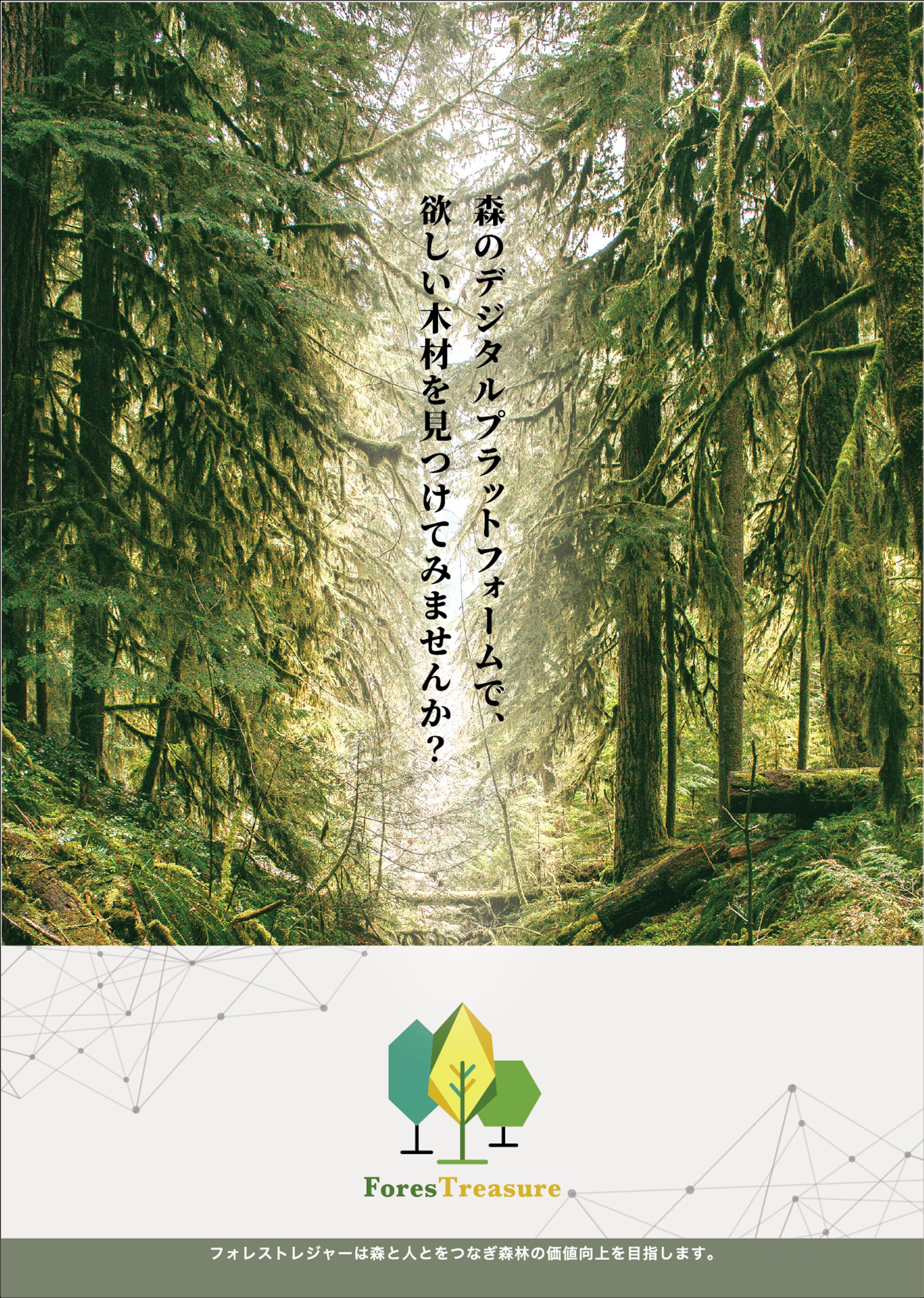 forestreasuer_flyer-1