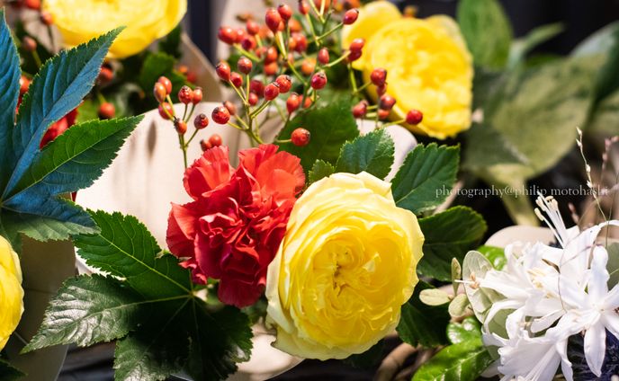 flowers