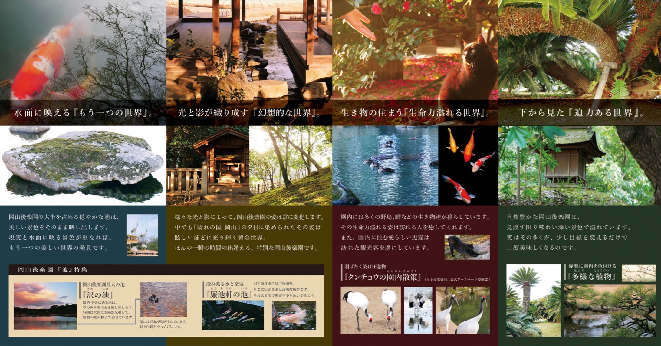 岡山後楽園 観光パンフレット-1