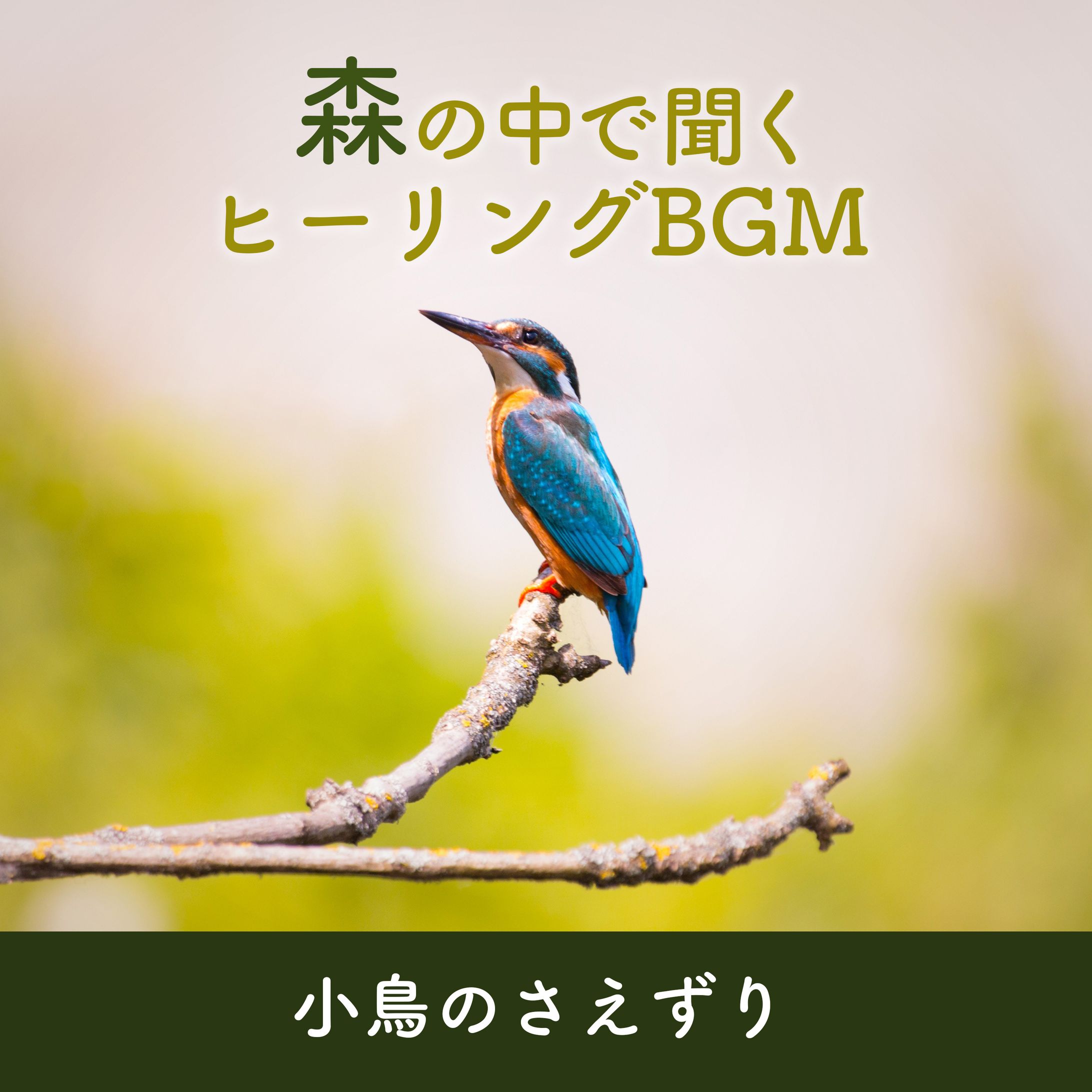 【自然音】アルバムジャケット集-1