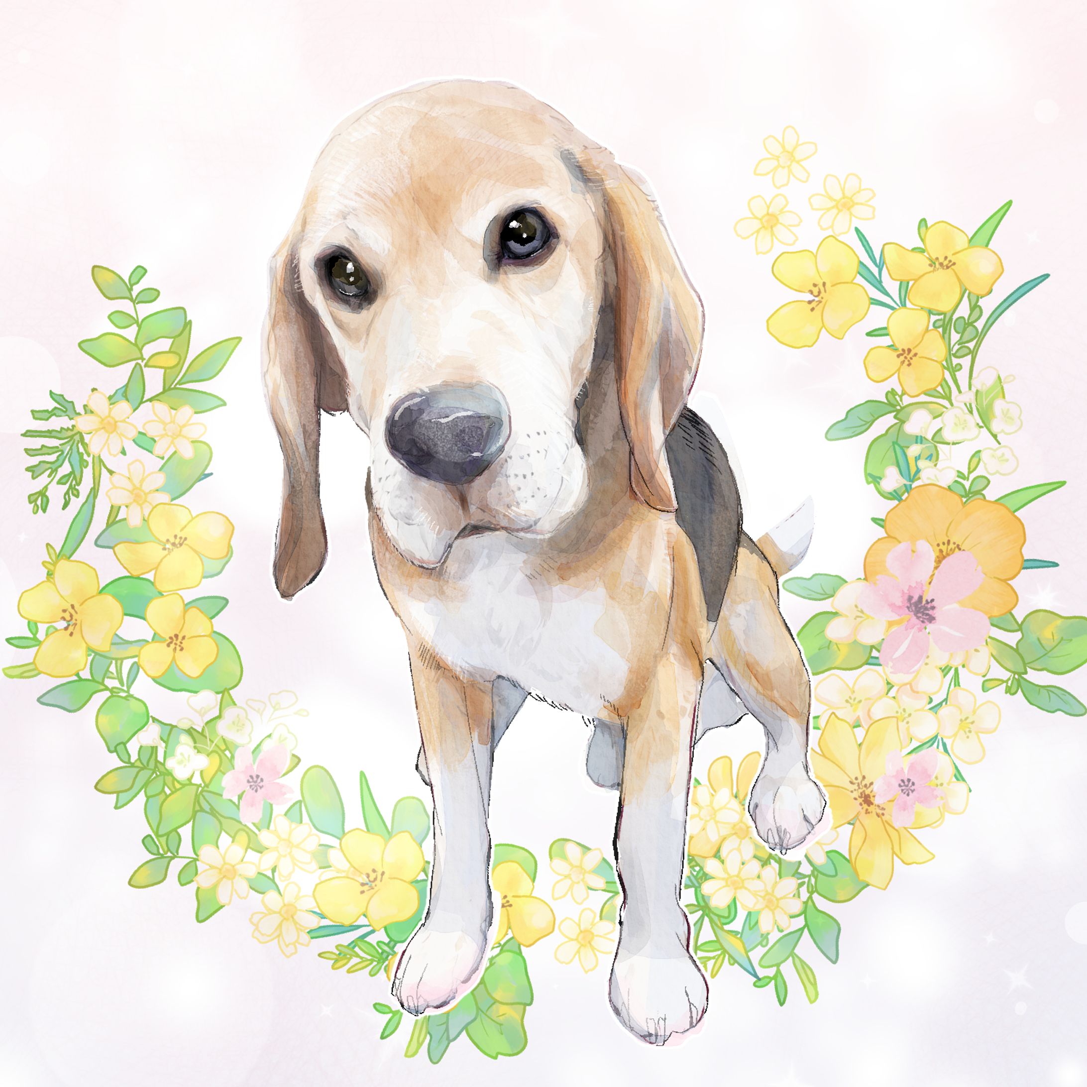 animal color-1