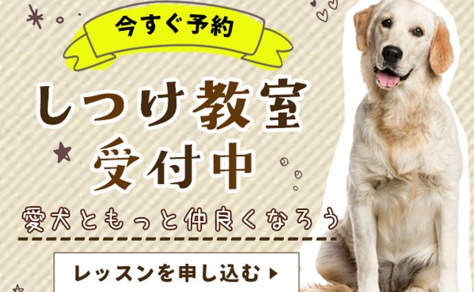 バナー：ワンちゃんのレッスン案内