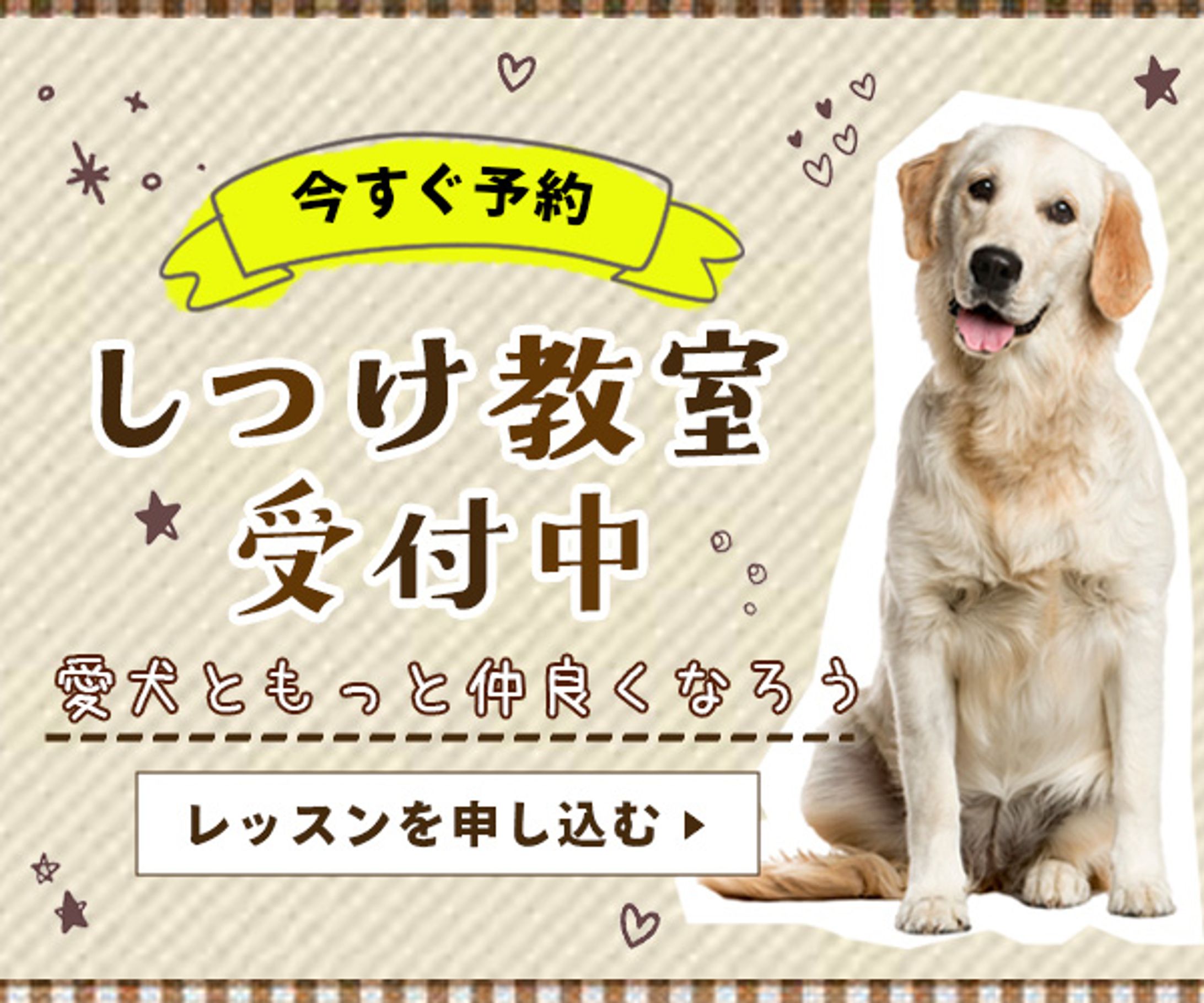 バナー：ワンちゃんのレッスン案内-1