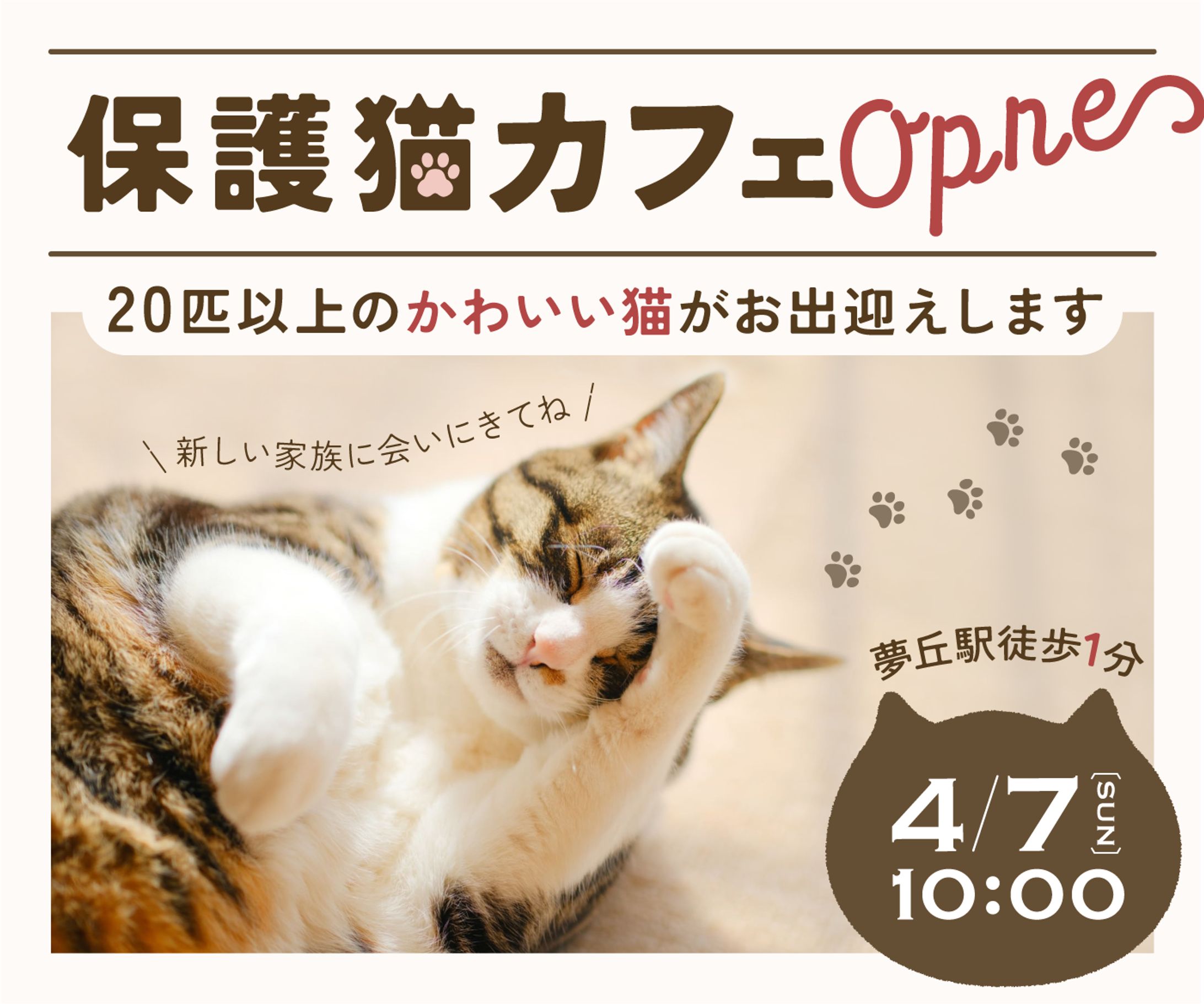 【バナー】保護猫カフェのオープン告知-1