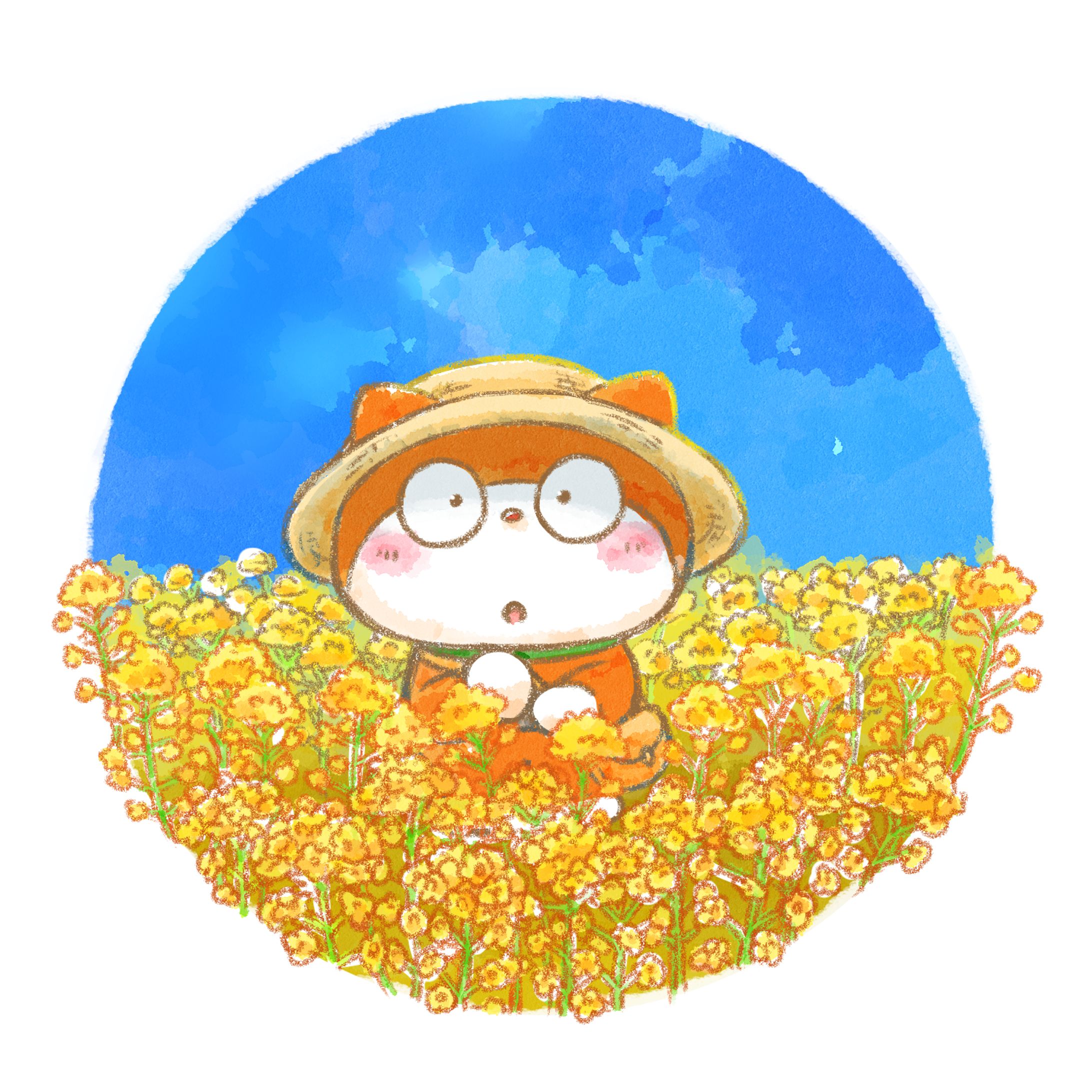 菜の花畑にお出かけきんぽくん-1