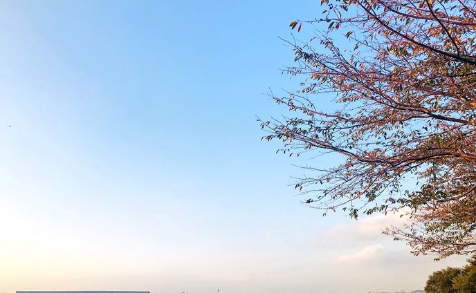 海老名三川公園