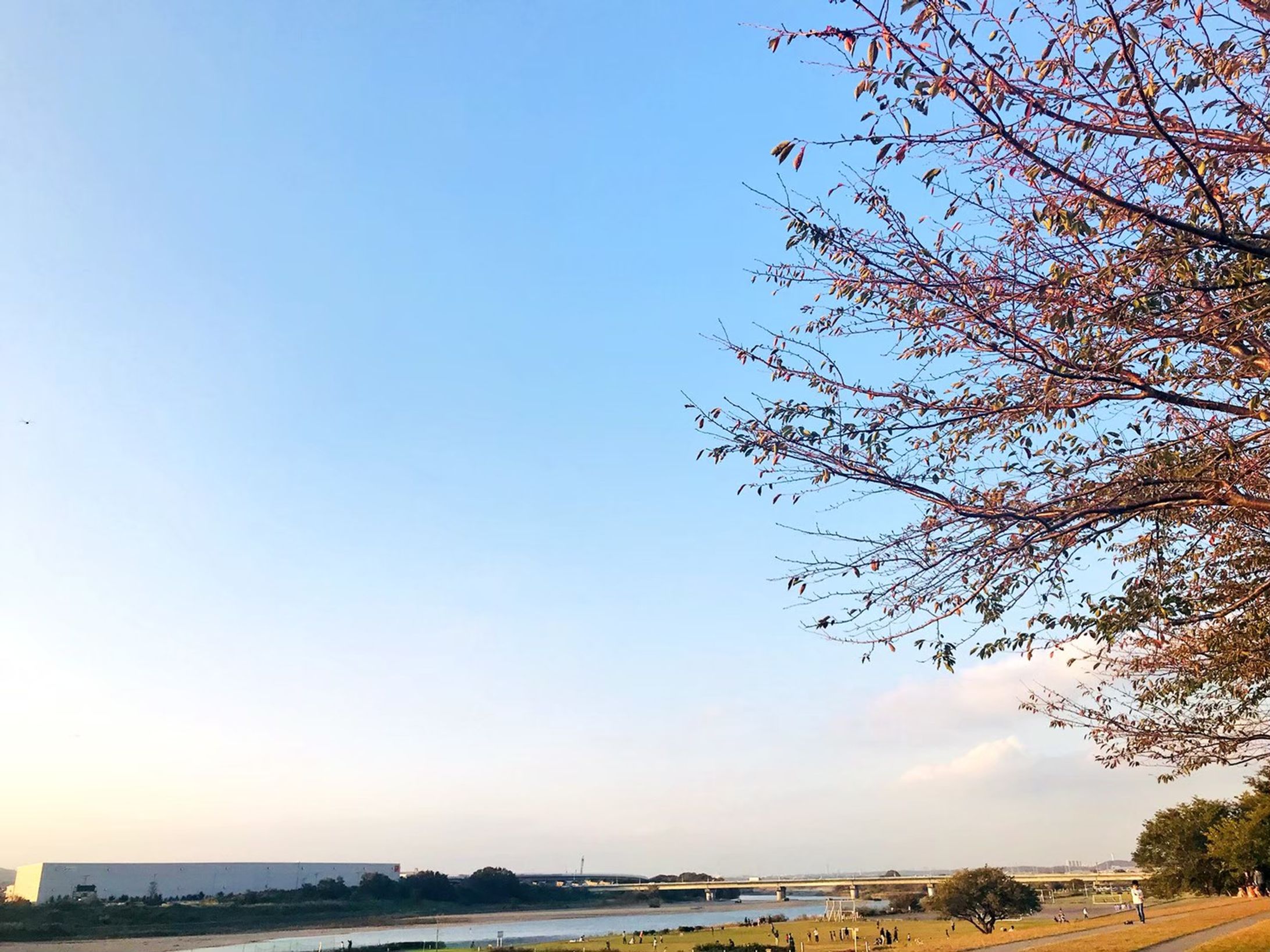 海老名三川公園-1