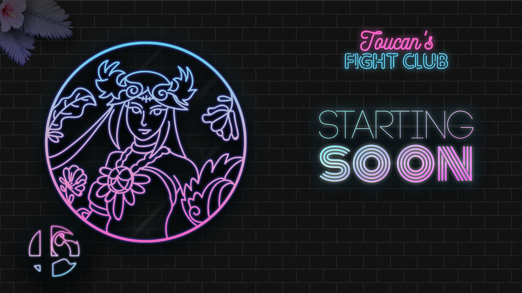 Terrons Smash - Toucan's Fight Club Series-1