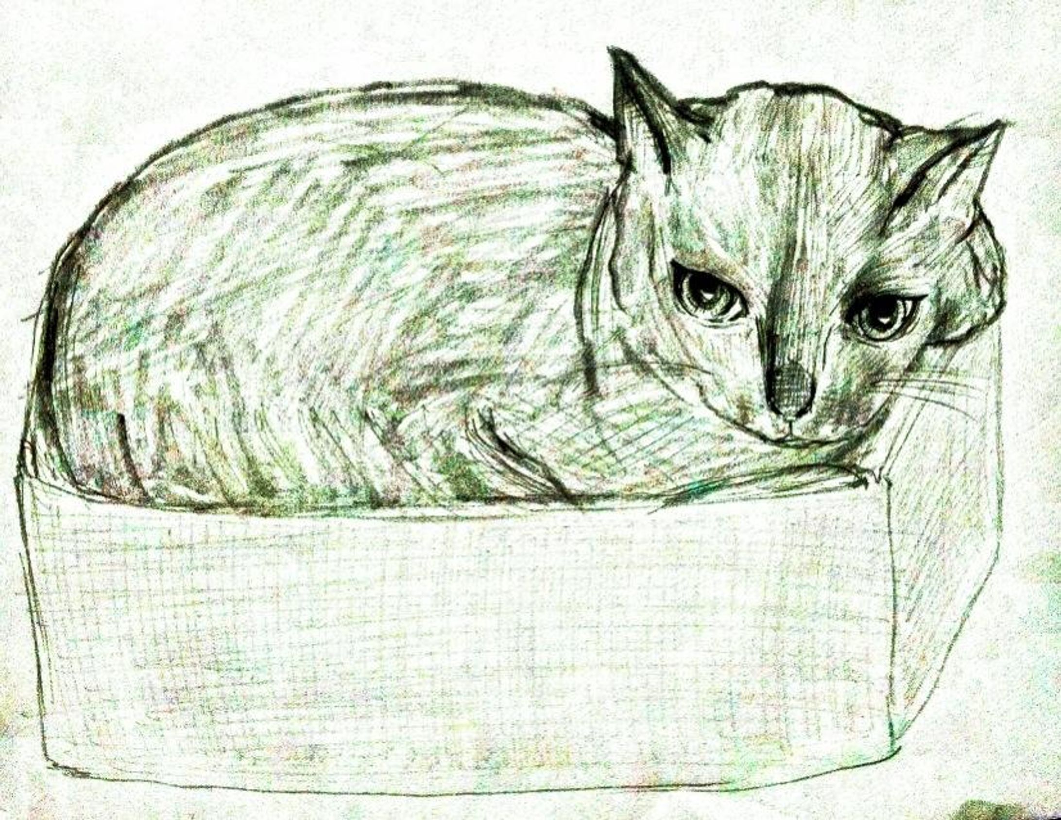 201408_犬猫スケッチ-1