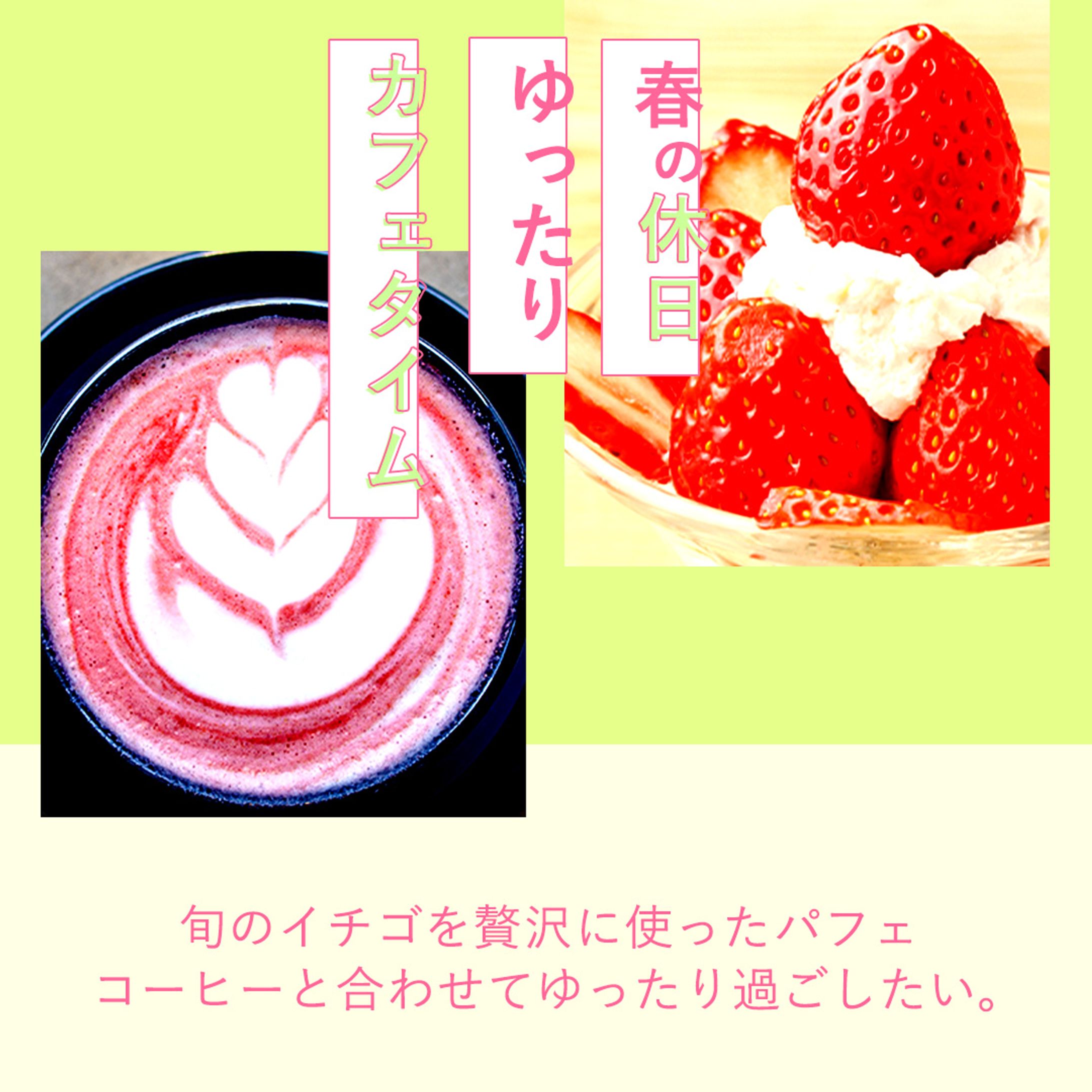 春のおすすめ-1