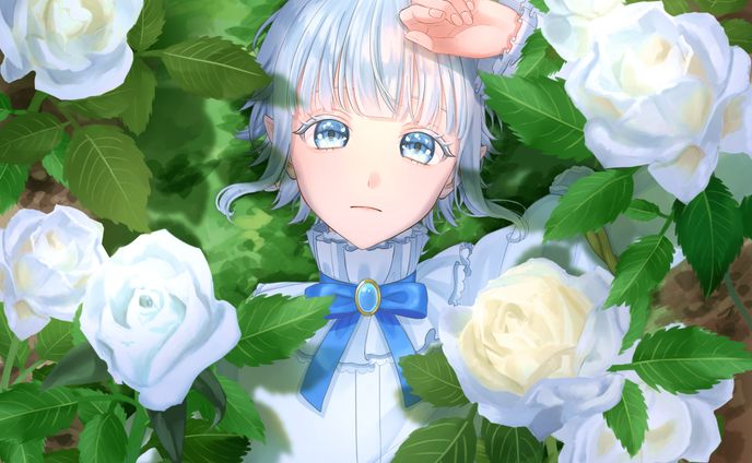 白薔薇