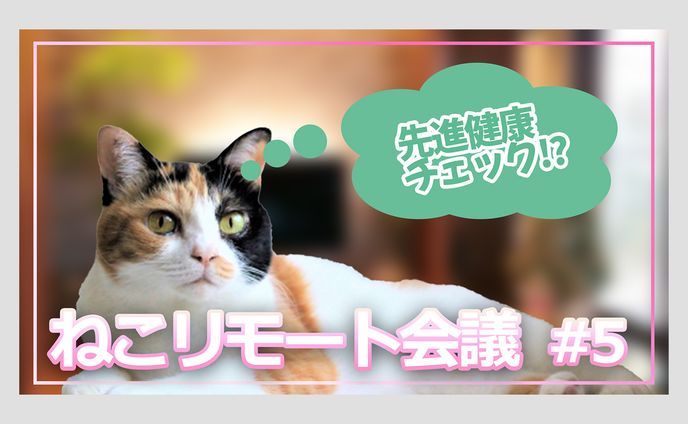動物系、リリース