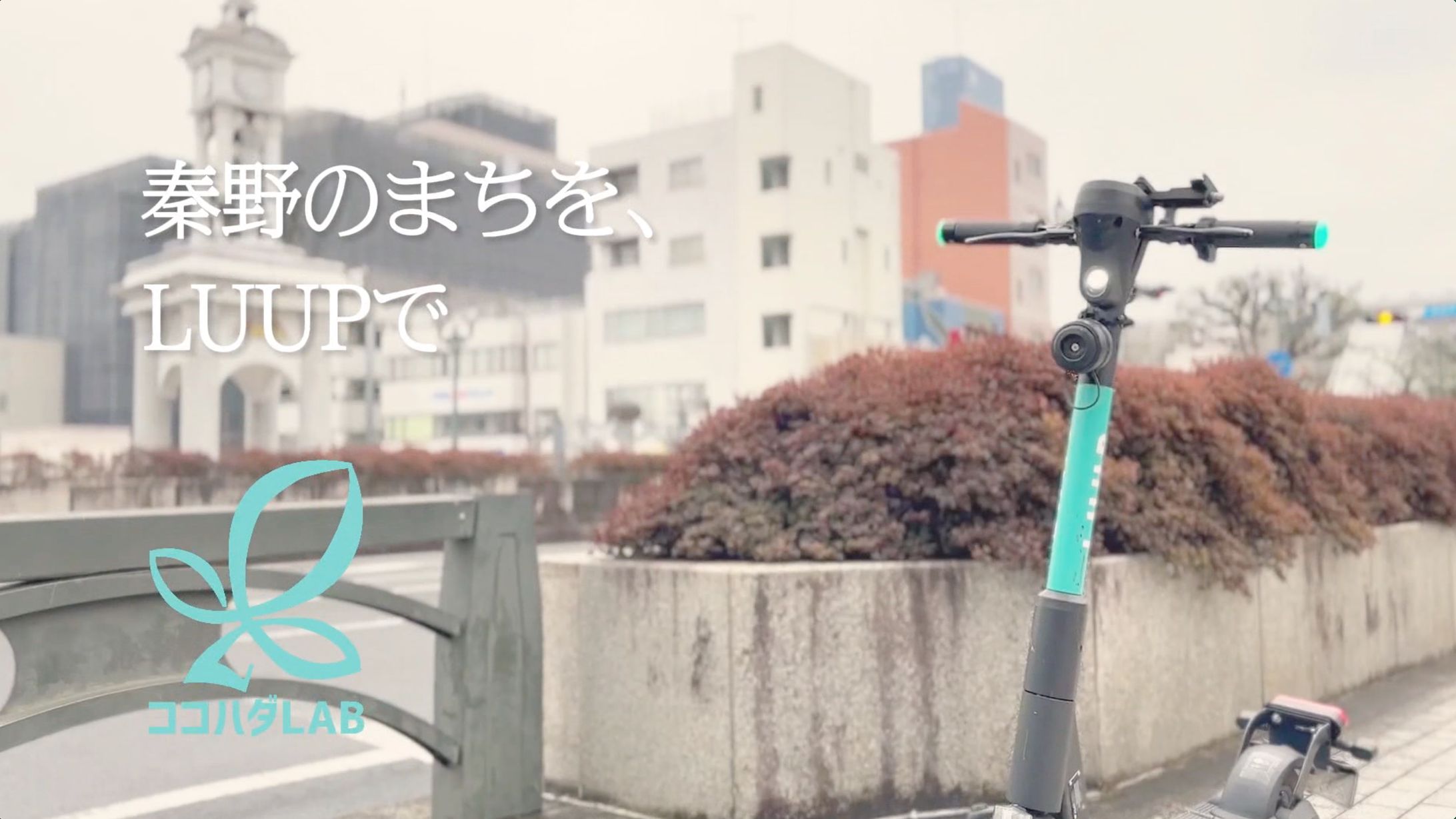 小田急線車内用動画-1