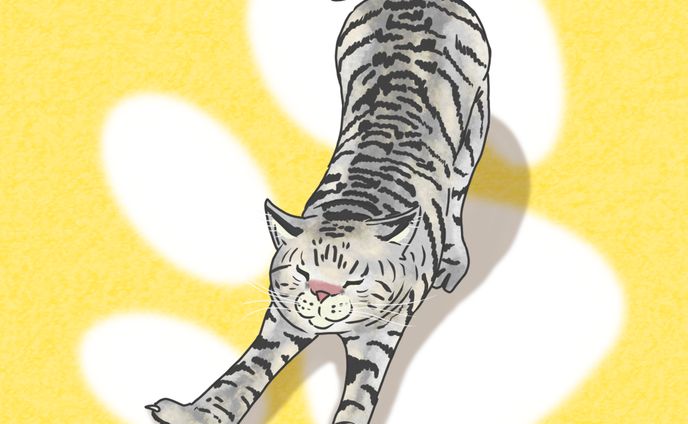 【実績紹介】猫　イラスト