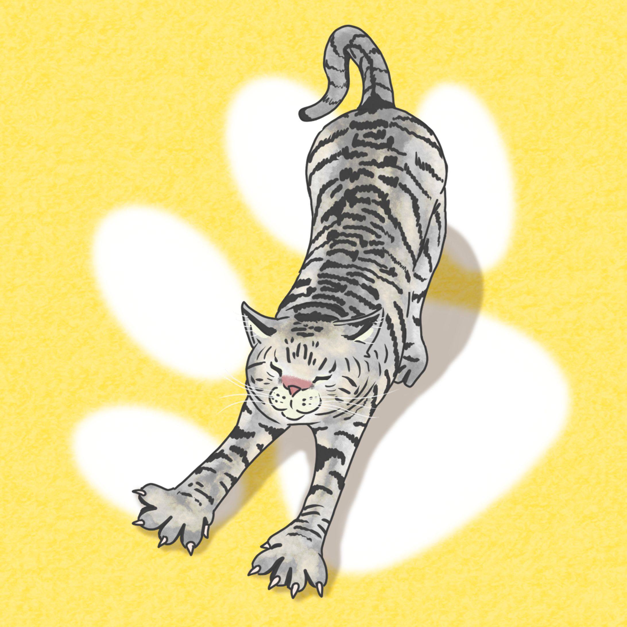 【実績紹介】猫　イラスト-1