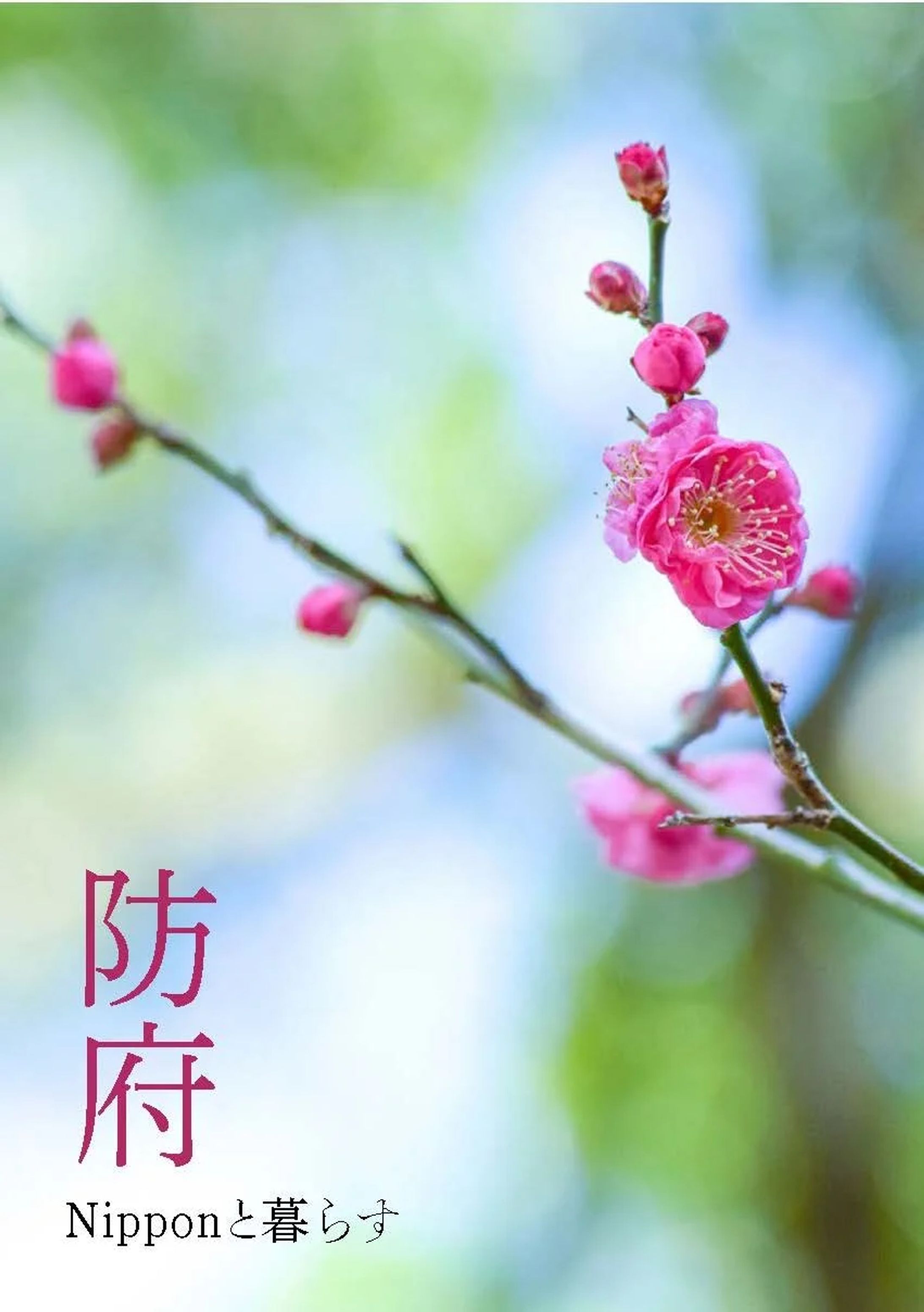 2019 防府展(東京ミッドタウン）表紙-1