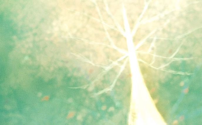 017. 桜大樹﻿
﻿
しばらく丸い窓の外は﻿
寒々としていて、永遠に続きそうな風景が続いていた。﻿
﻿
『間もなく桜大樹、桜大樹に到着いたします。』﻿
『桜大樹では1時間ほど停泊いたします。』﻿
﻿
アナウンスが響いたとたん、﻿
窓から淡い光が差し込んできた。"桜大樹"に着いたのだ。﻿
﻿
ムーンケーブルカーを降りるとそこには﻿
花枝がよそ風に舞う大きな桜の木があった。﻿
﻿
It is the oldest cherry blossom tree! by jamiko ﻿
﻿
﻿
﻿
﻿
#heart #art #風景﻿
#paintingoftheday #loveart﻿
#アートワーク ﻿
#空想画 #空想旅行 #反魂秩序﻿
#chiiukokoneka