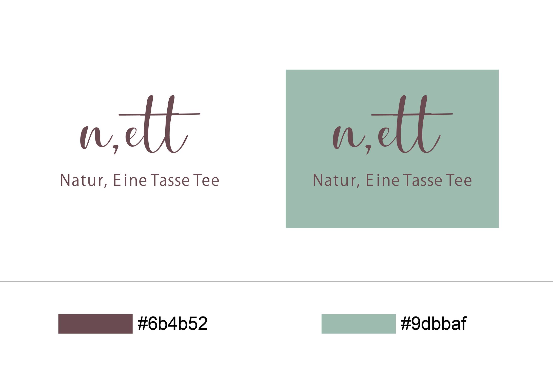 nett logo-1
