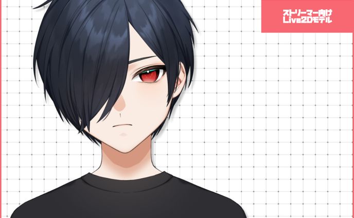 ストリーマー向け男性モデル