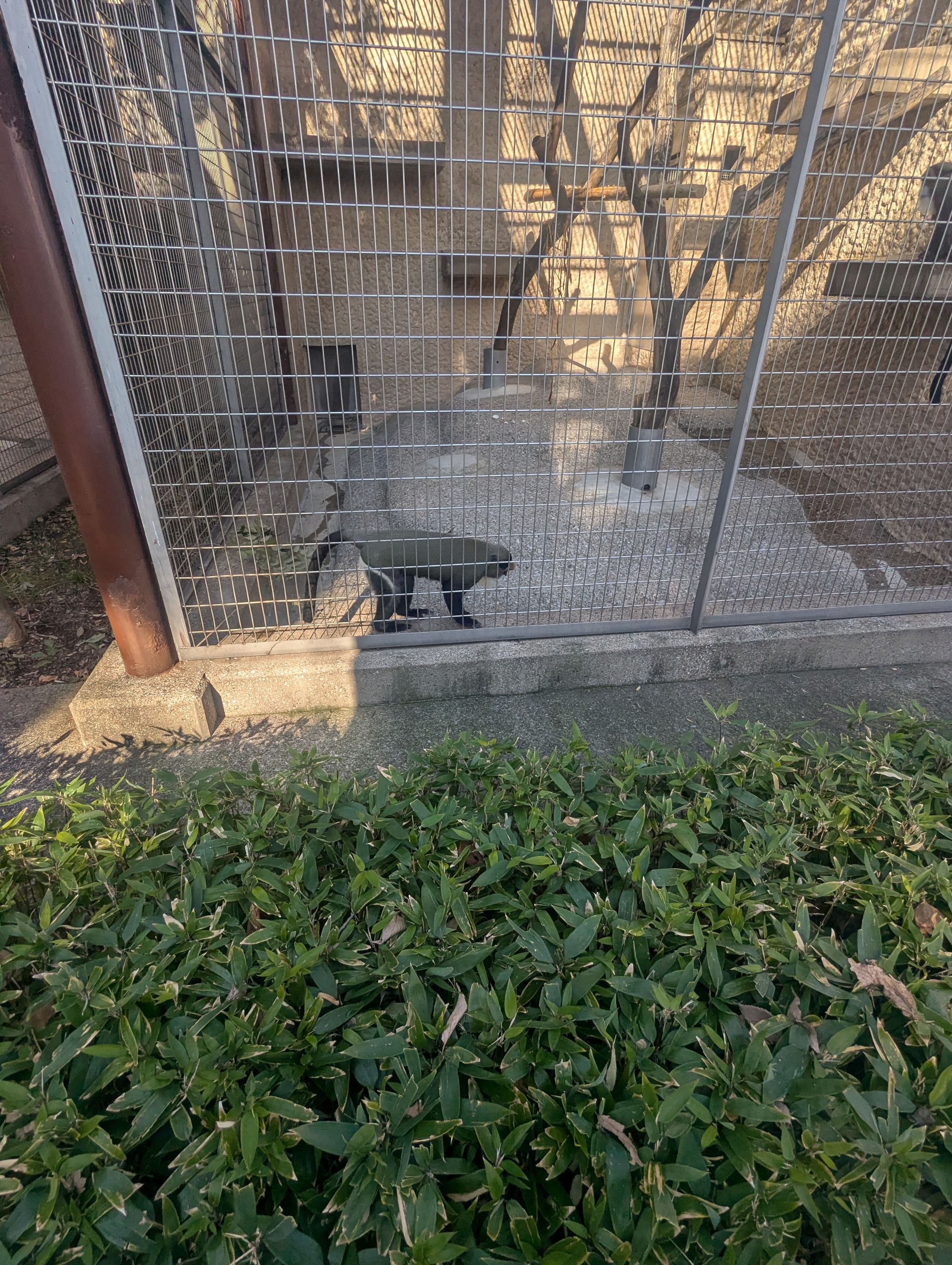 PXL 20260104 023921503-1