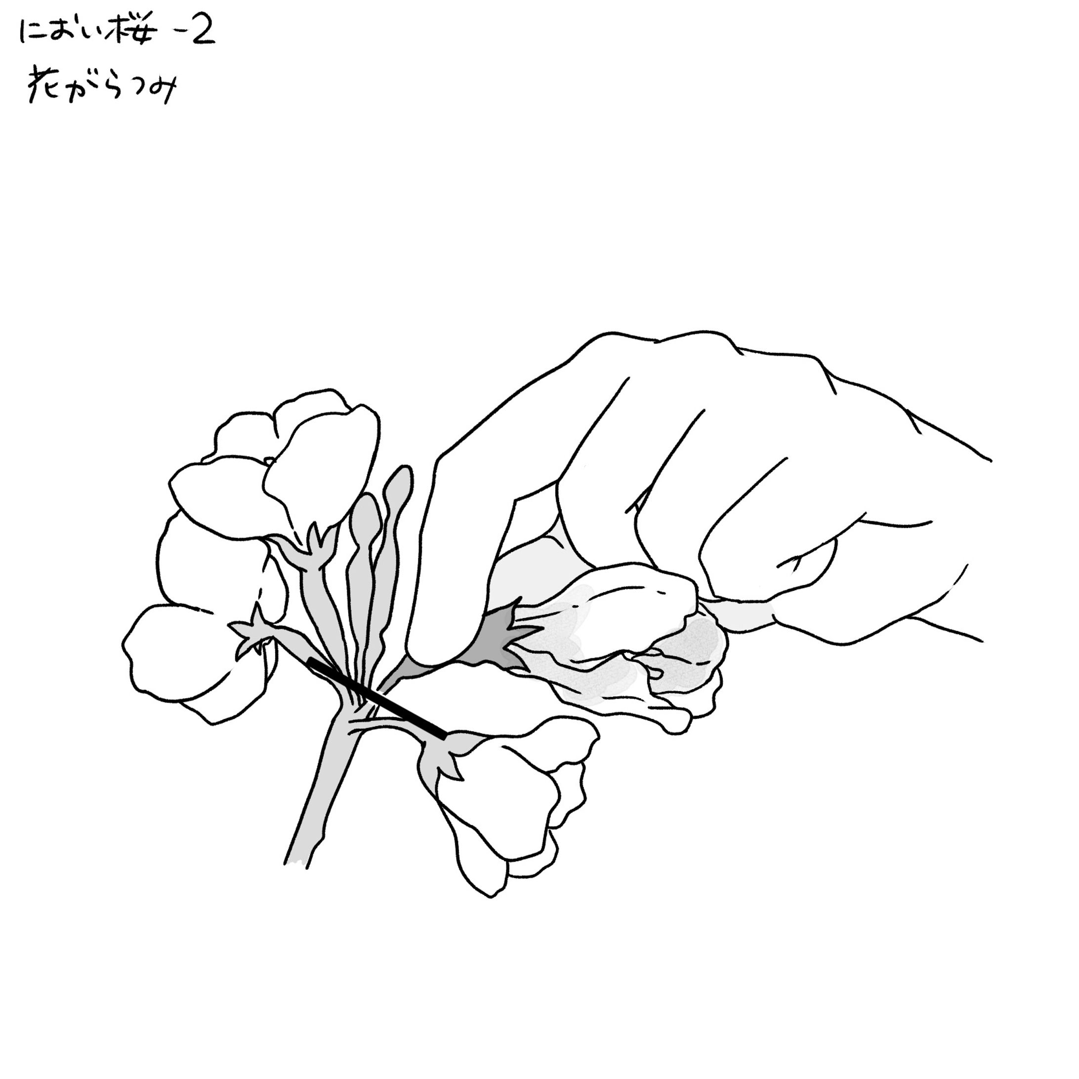 園芸専門誌イラスト-1