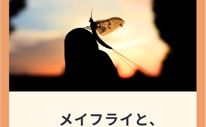季節の釣り（フライフィッシング）