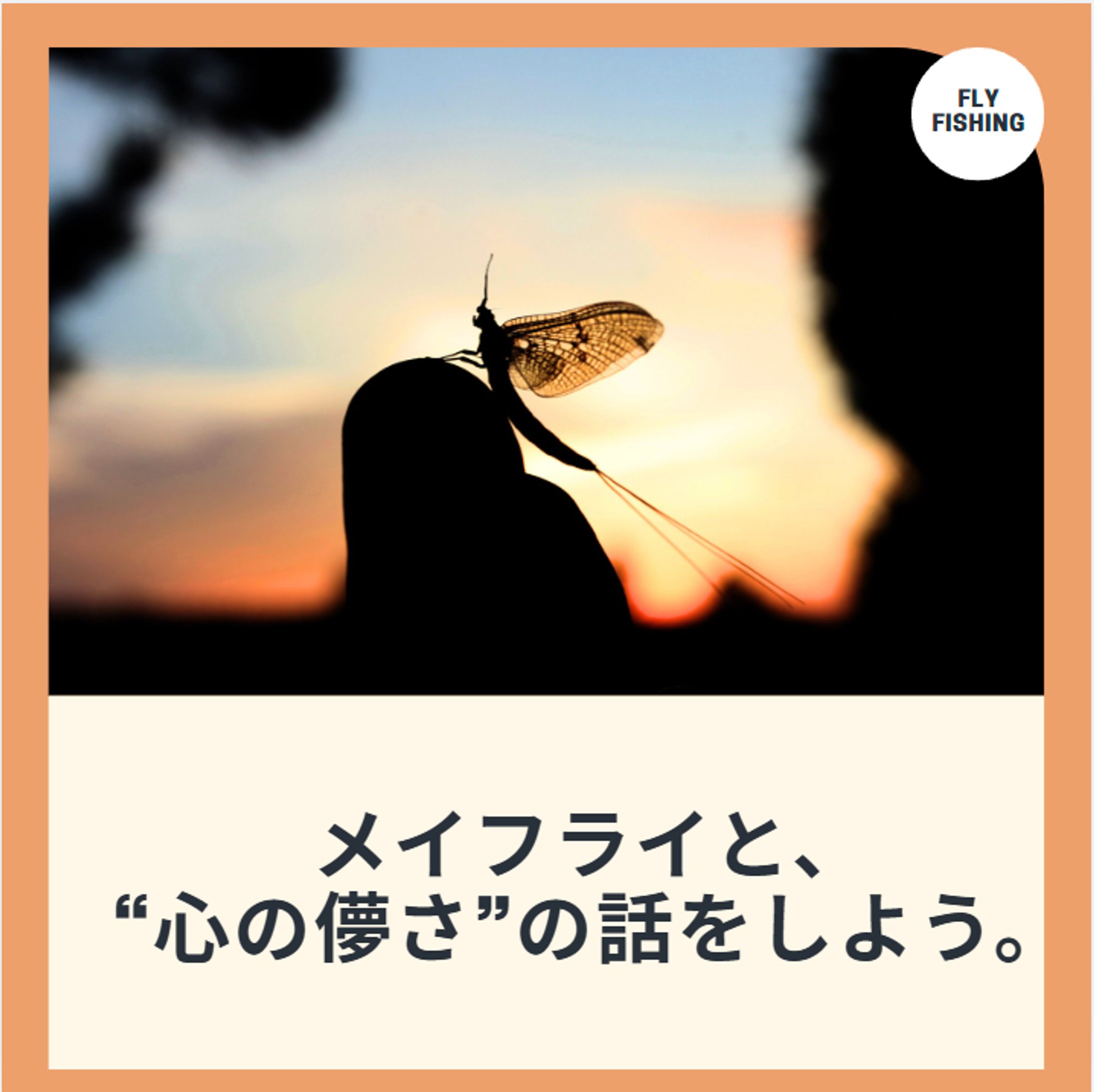 季節の釣り（フライフィッシング）-1