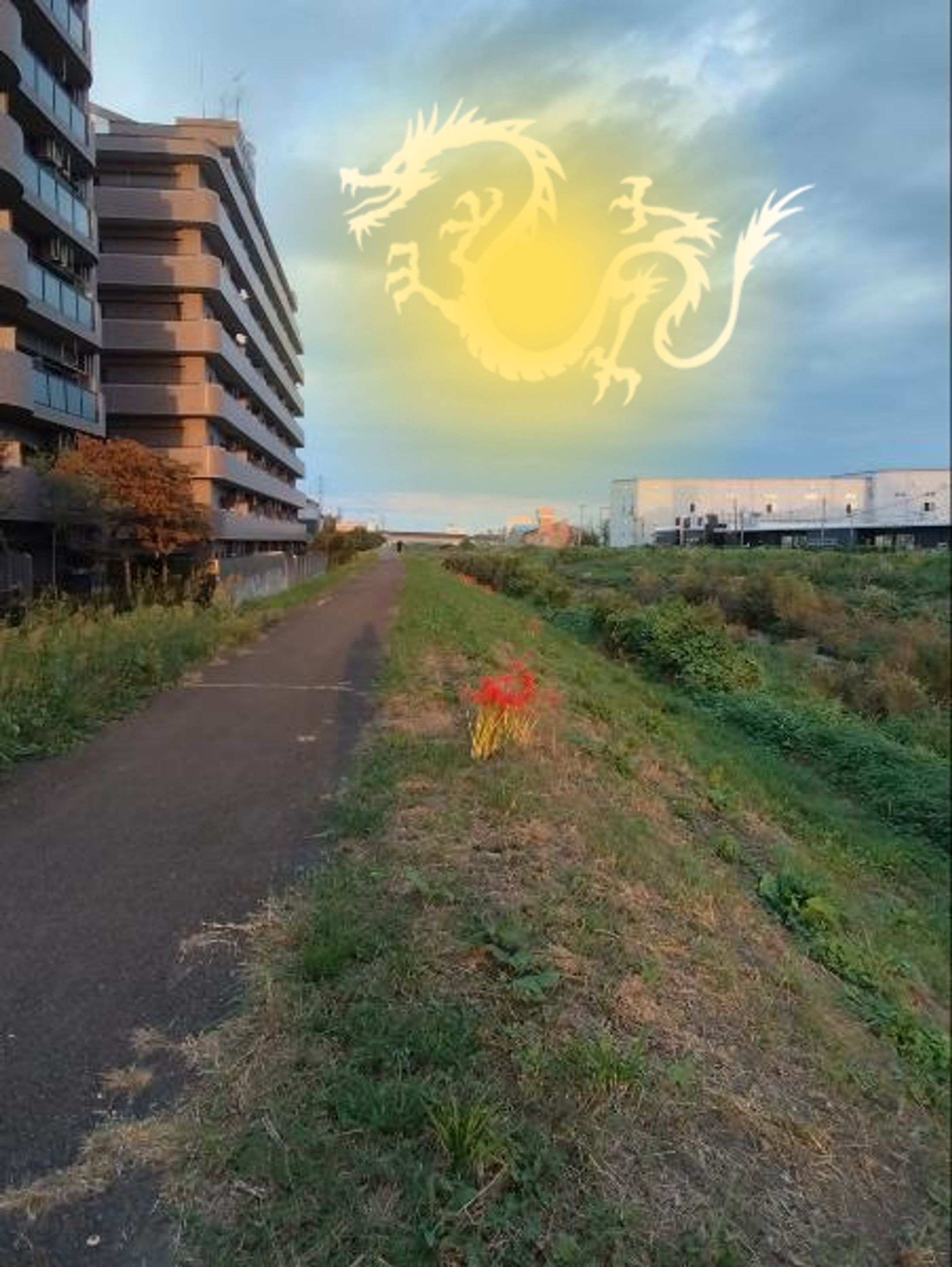 龍が現れた！？-1