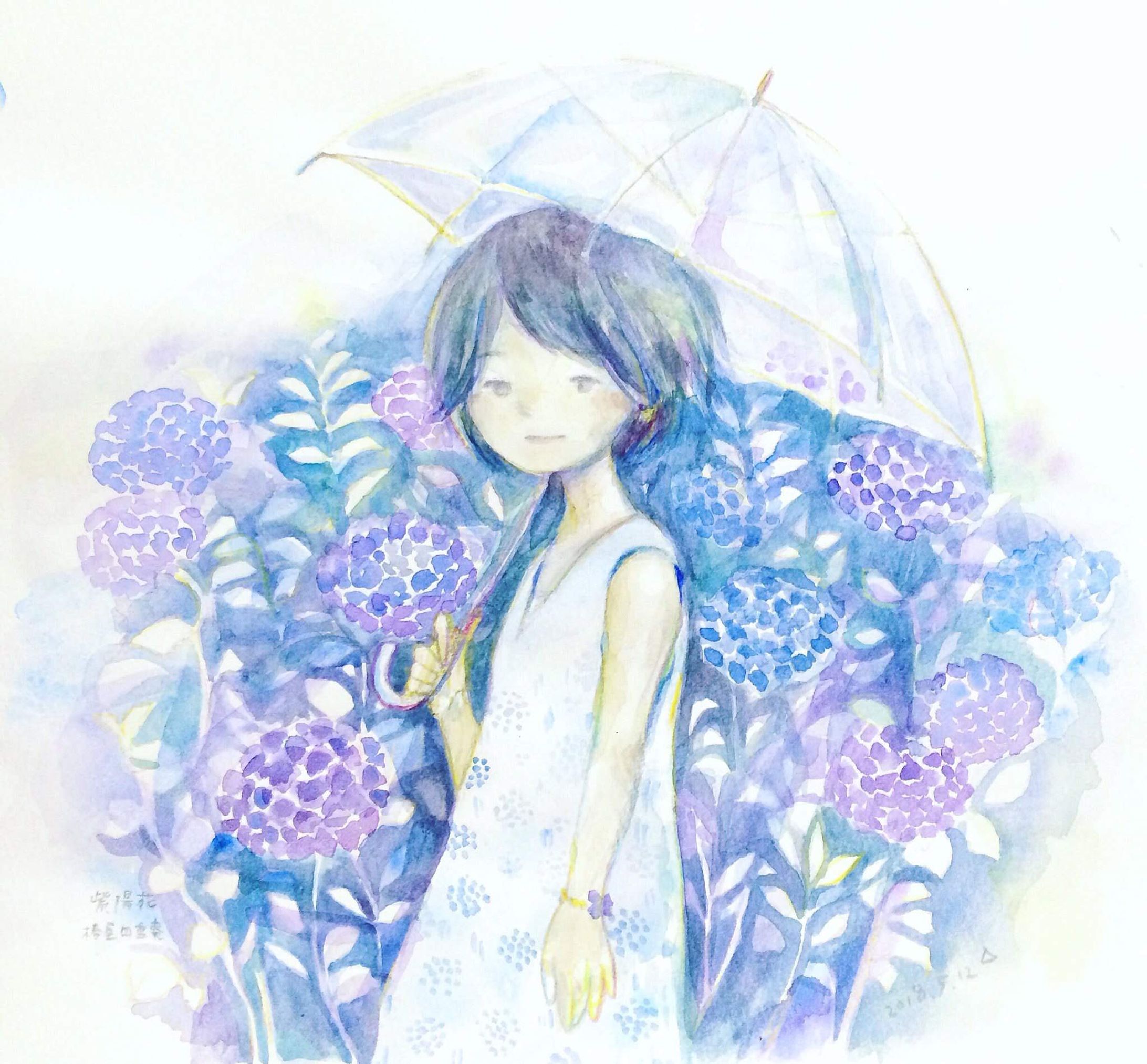 紫陽花の季節-1