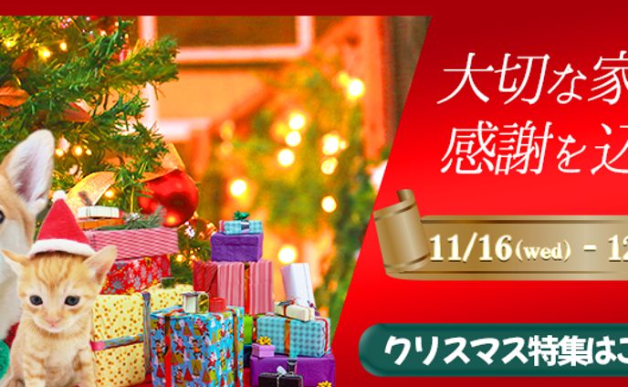 ペット用品店のクリスマス特集バナー