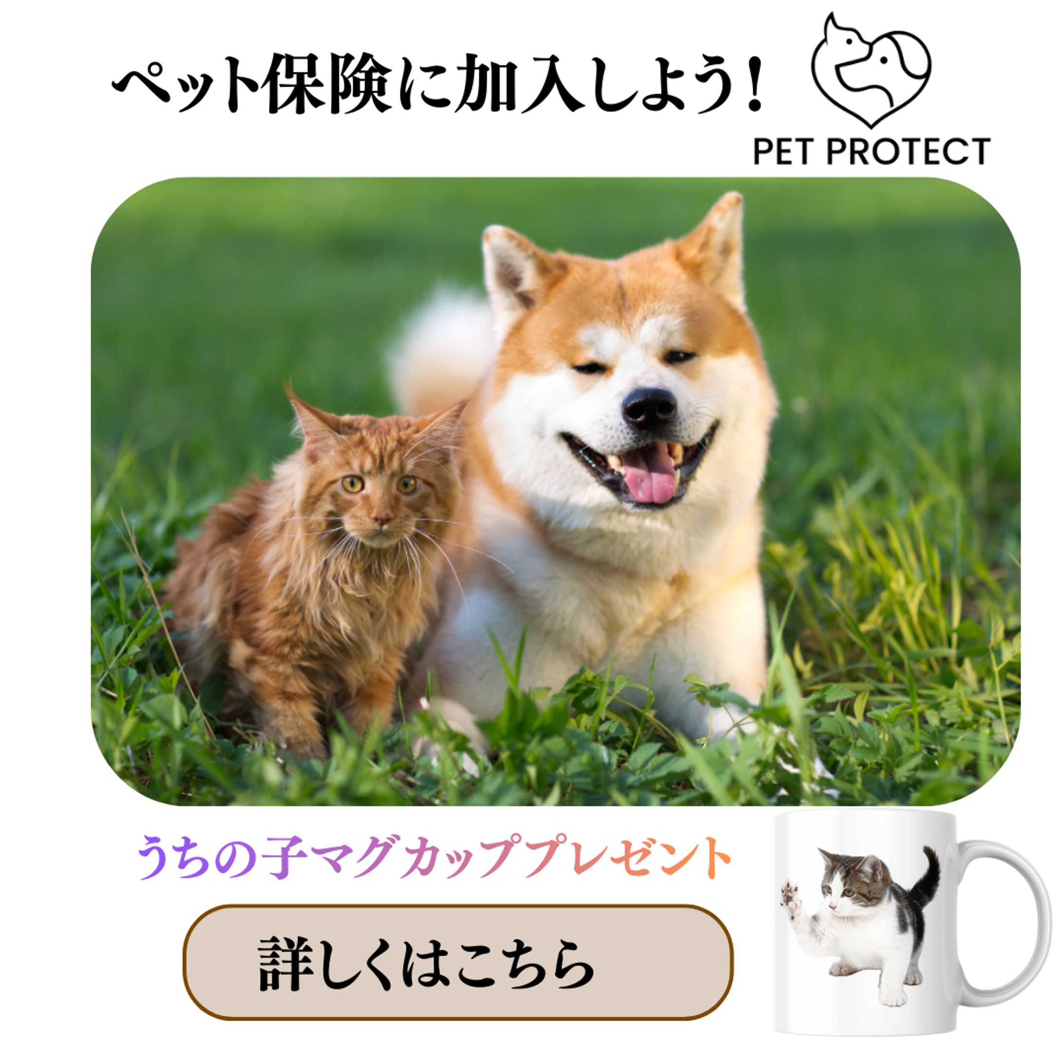 【架空案件】ペット保険加入誘導バナー-1