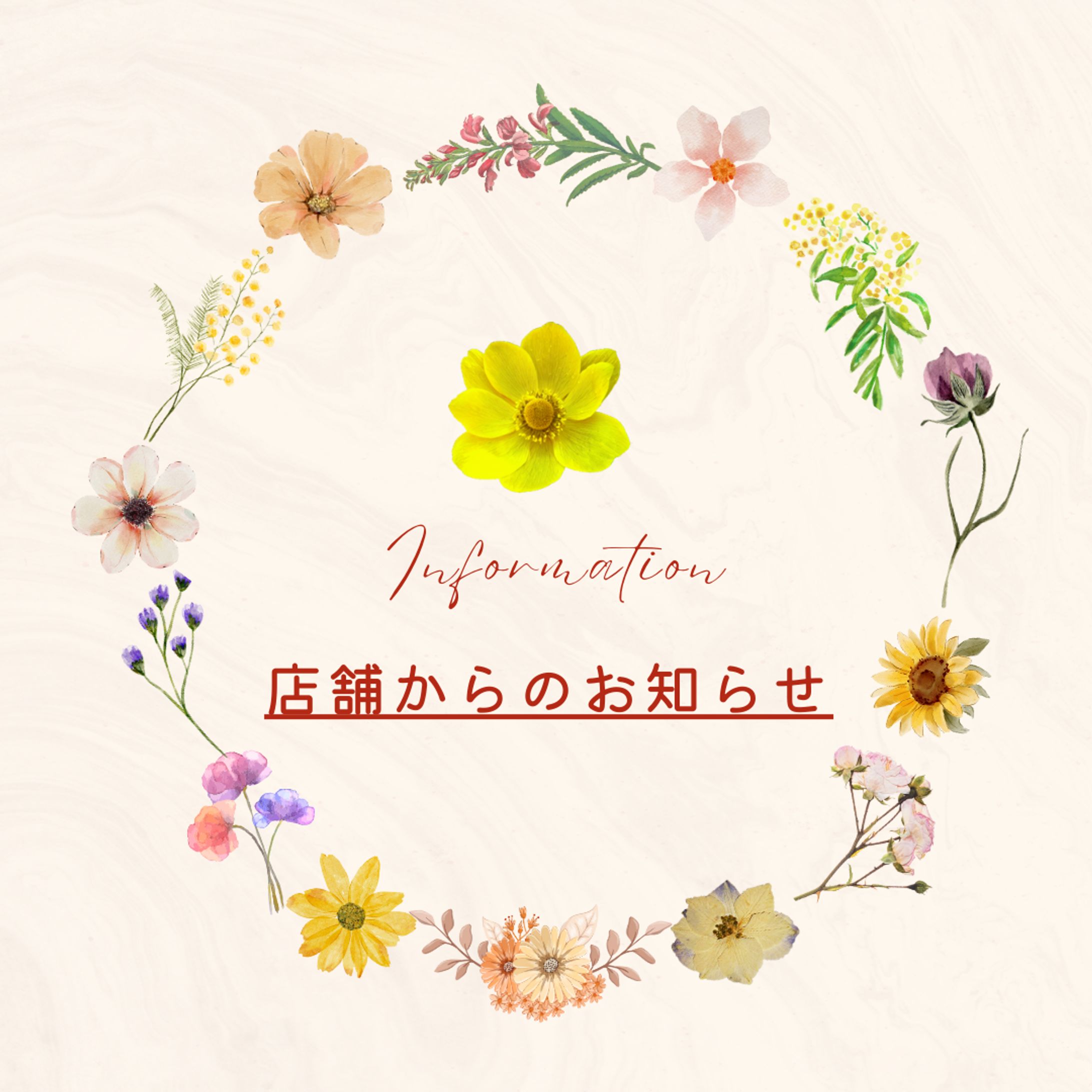 インスタ投稿画像-1