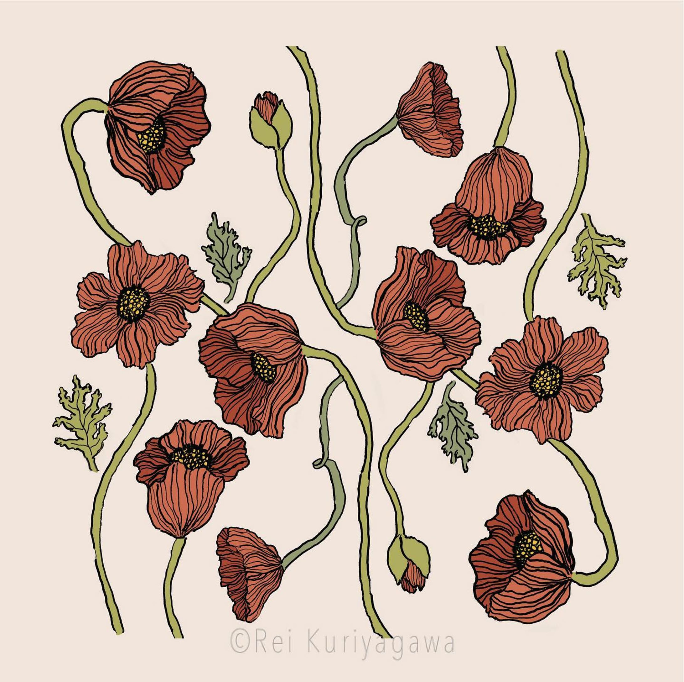 poppy-1