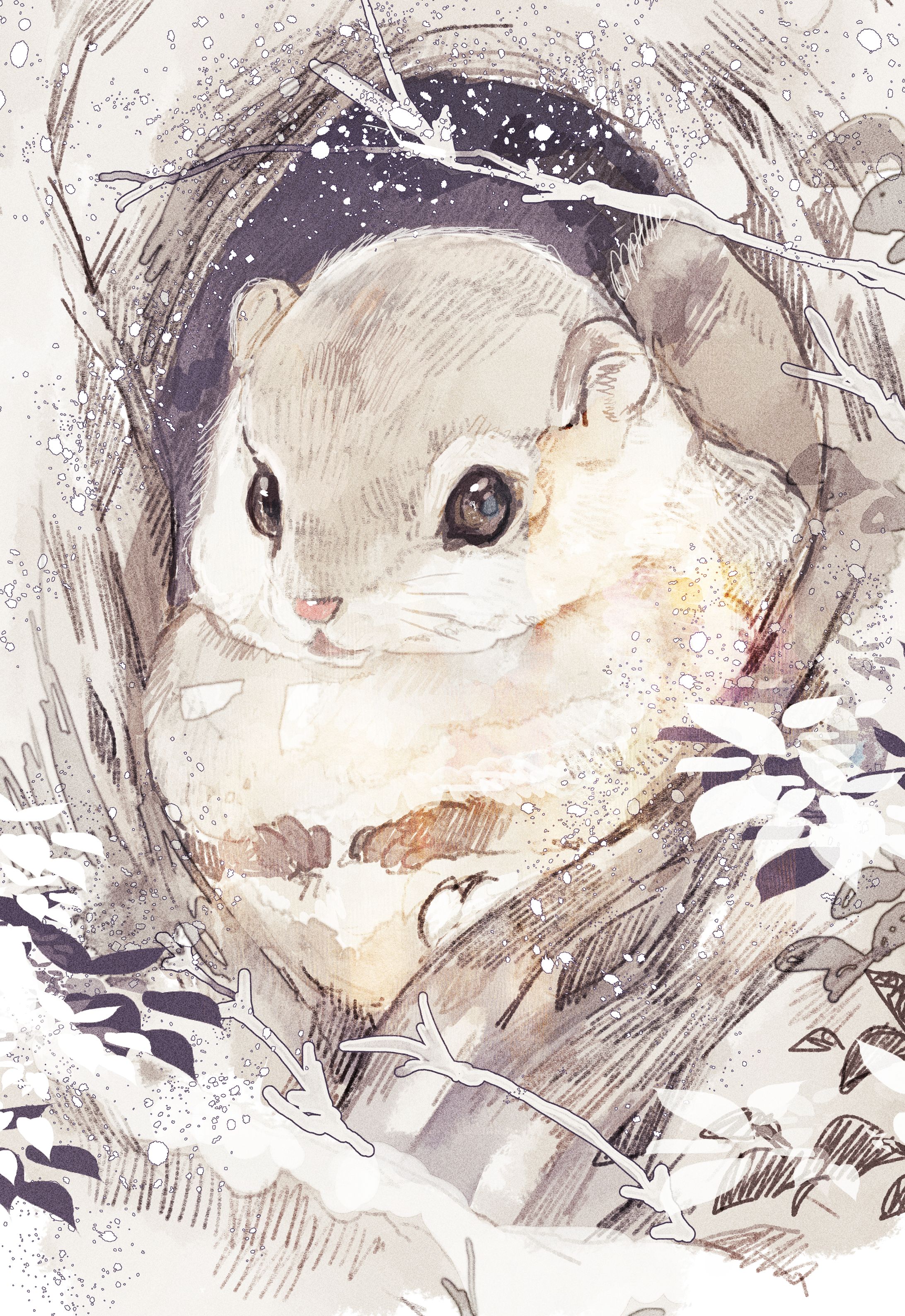 動物イラストモモンガ-1