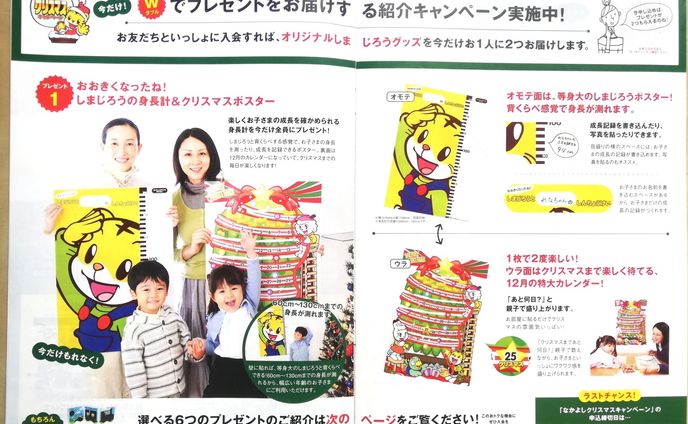 幼児向け通信教育　販促冊子
