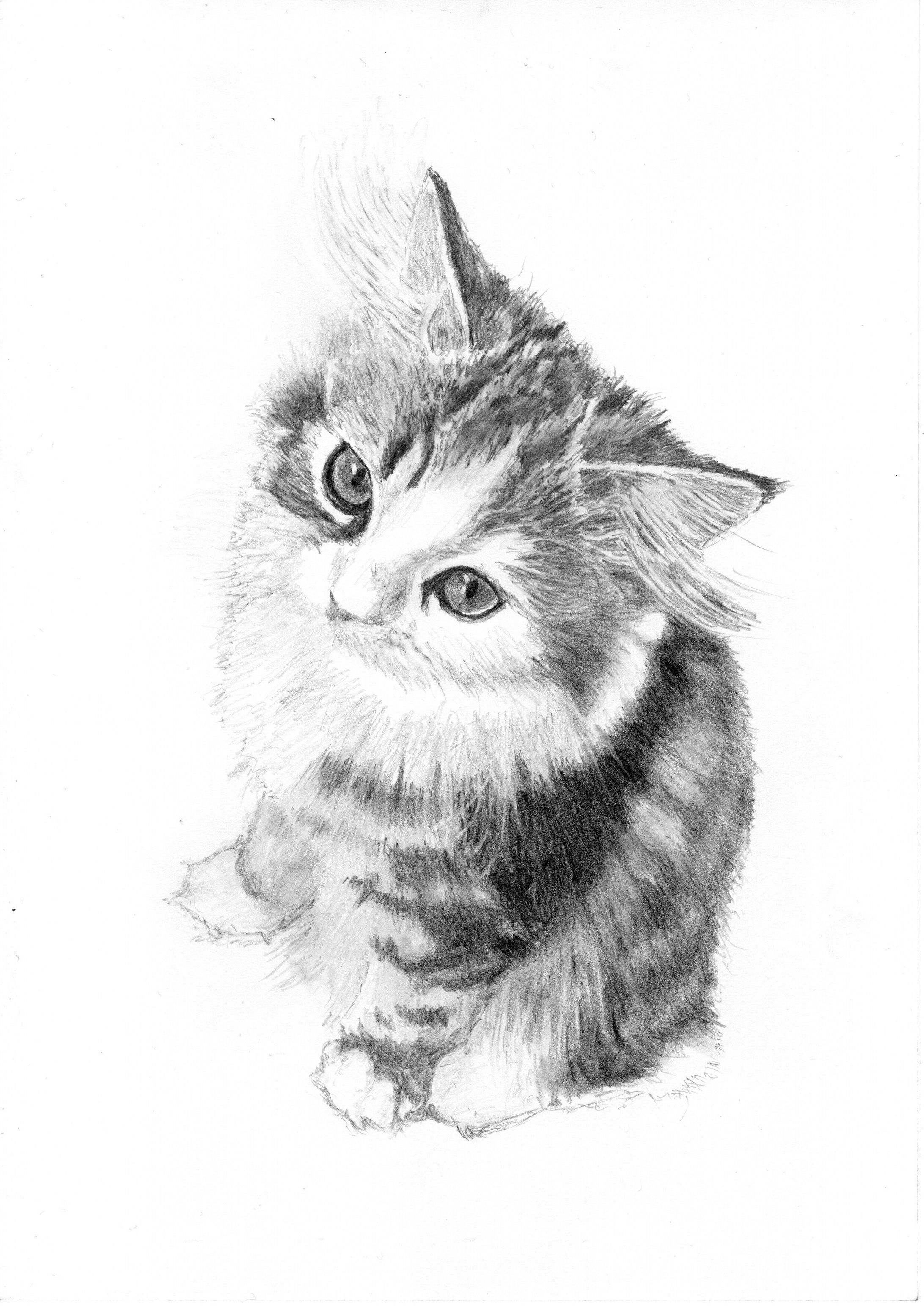 リアル鉛筆画（ペット）-1