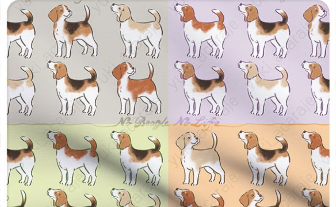 No Beagle No Life