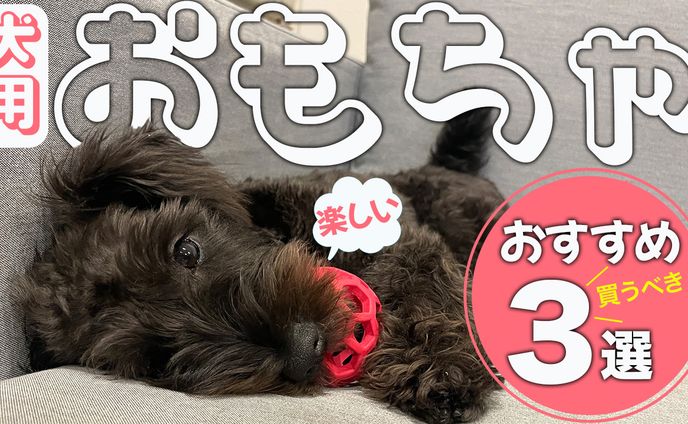 YouTubeサムネイル８