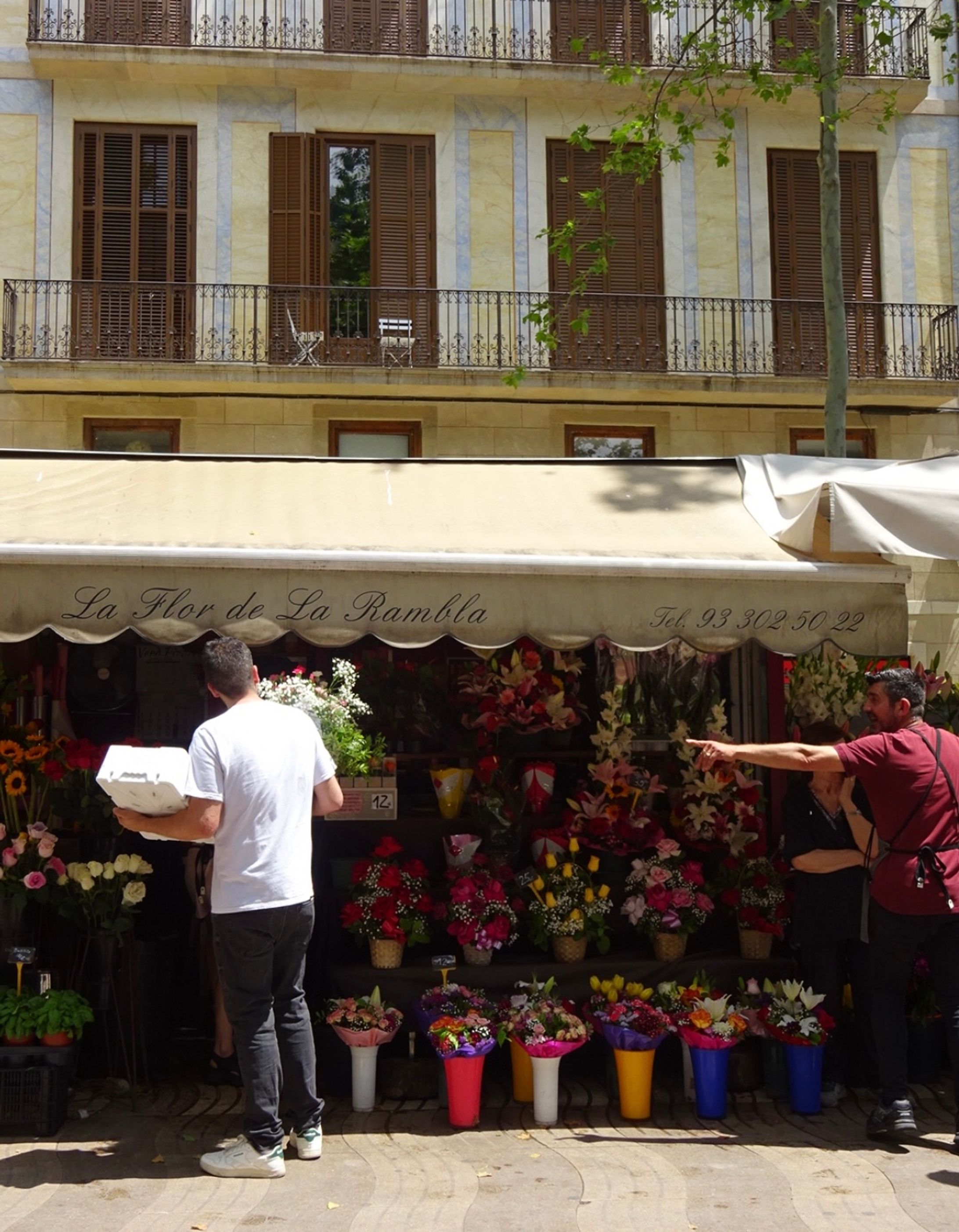 【Snap】BARCELONA　※携帯画面推奨-1