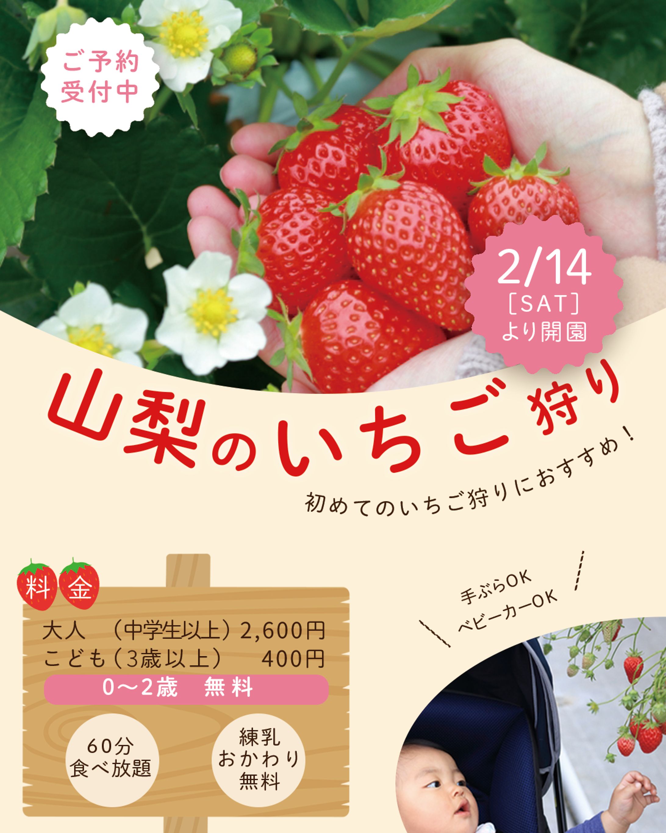 山梨のいちご狩り(架空）-1