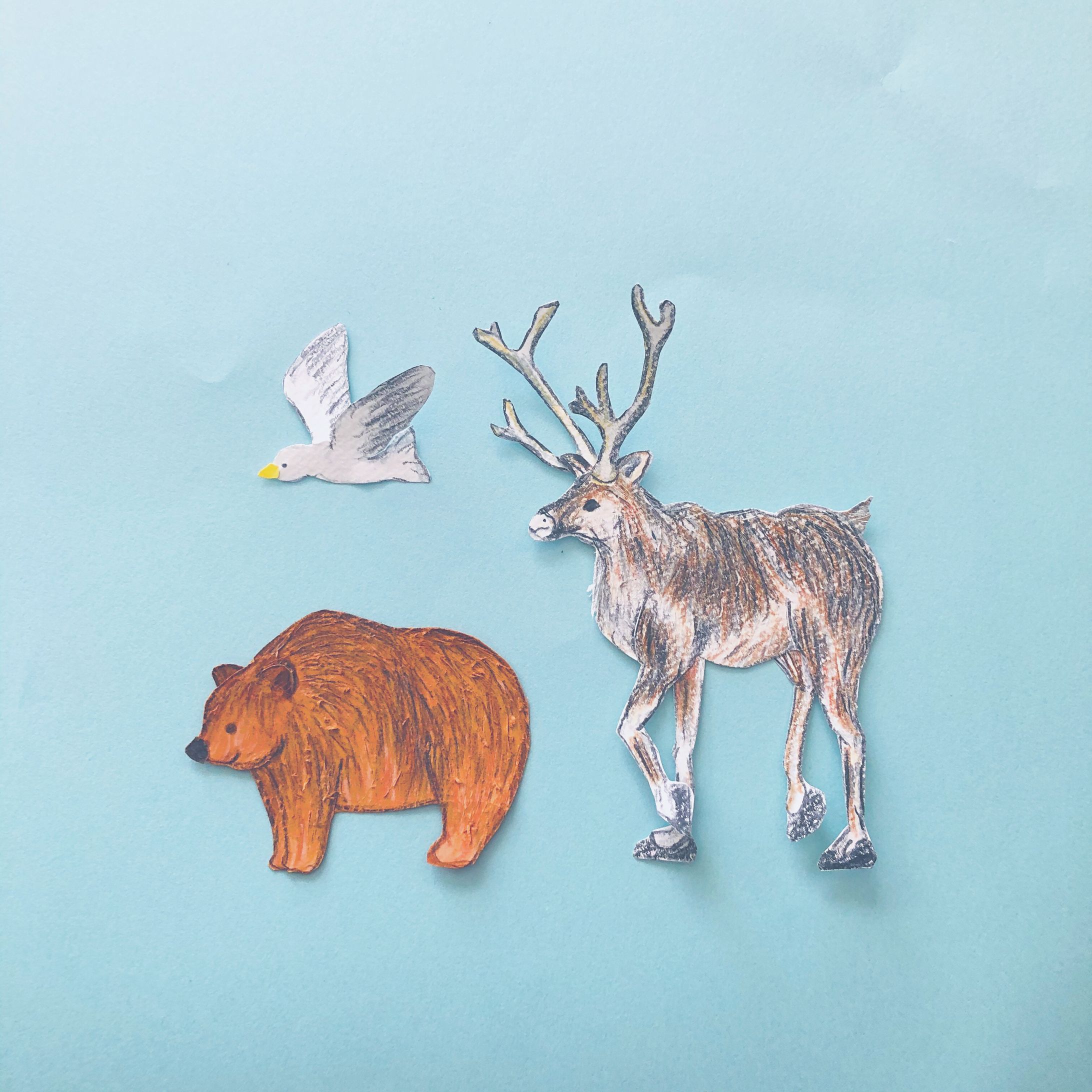 フィンランドの動物たち。-1