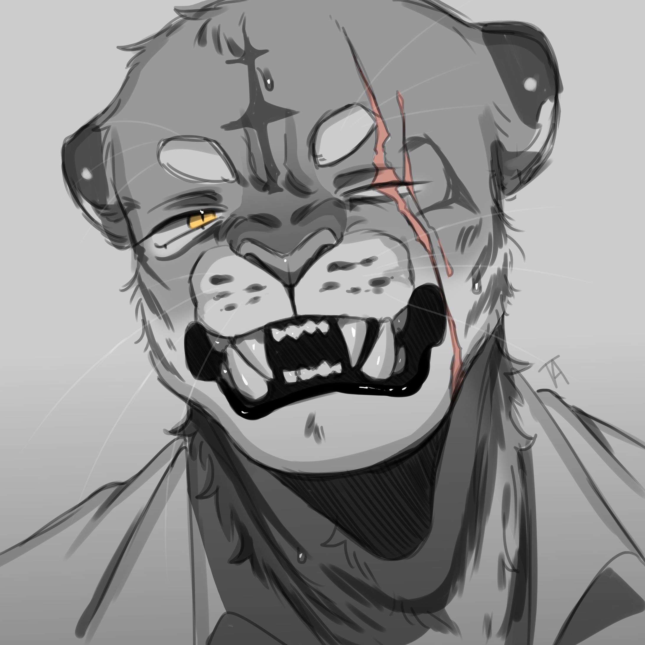Tiger sketch-1