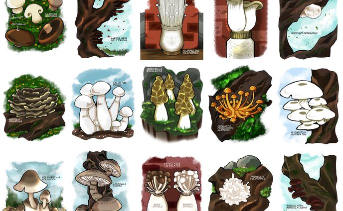 illustrations、singing clean voice