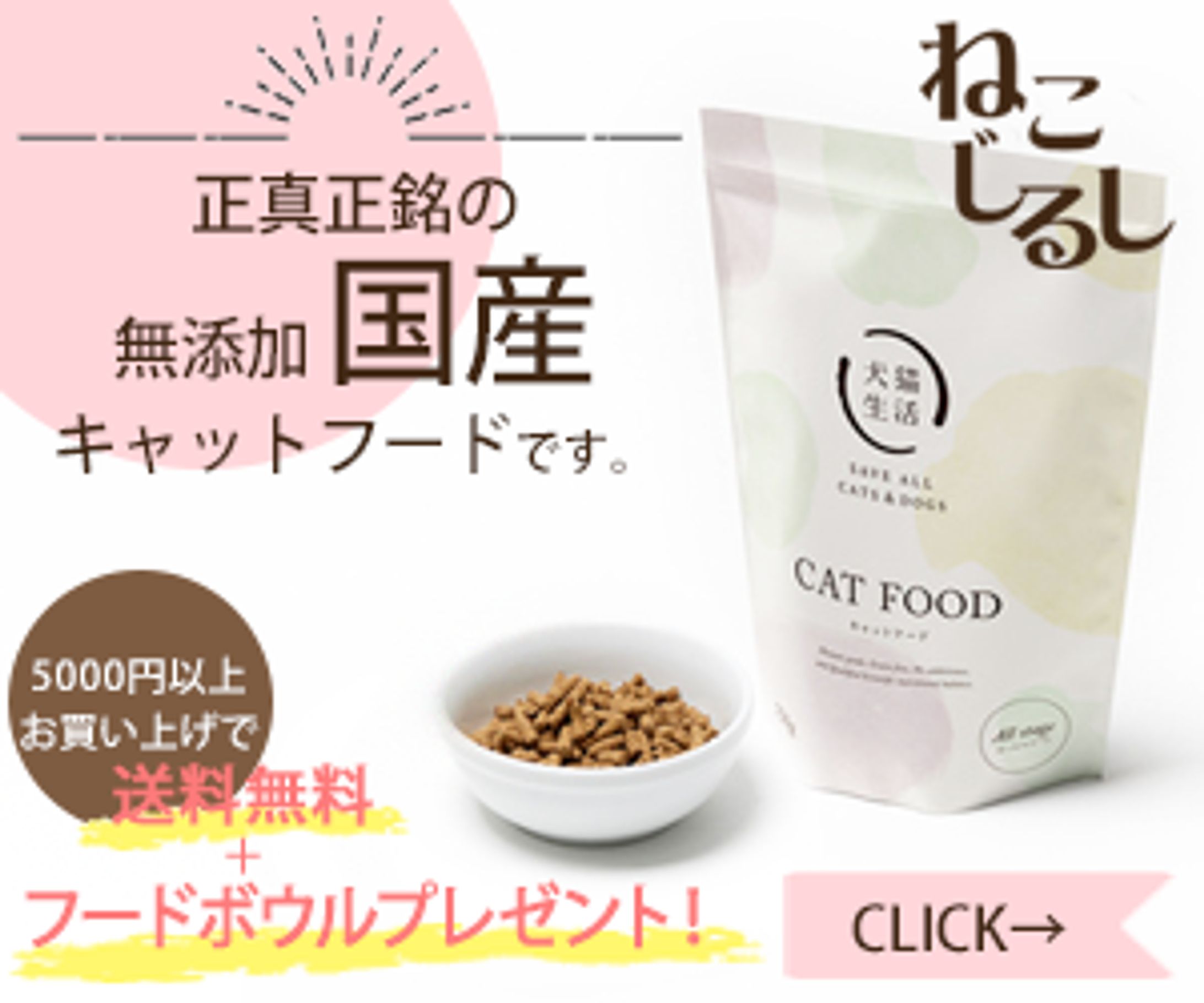 【学校課題】ECサイトバナー/キャットフード-1