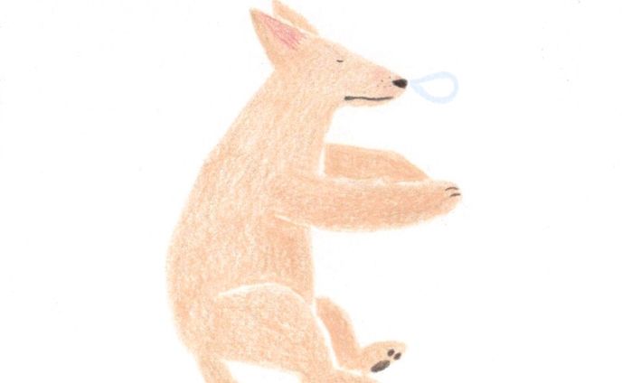 dog、let's play