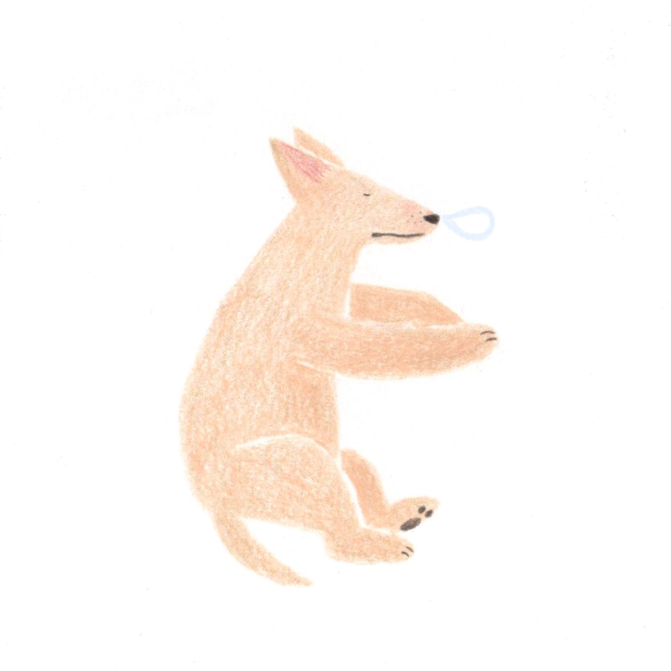 Sleep dog-1