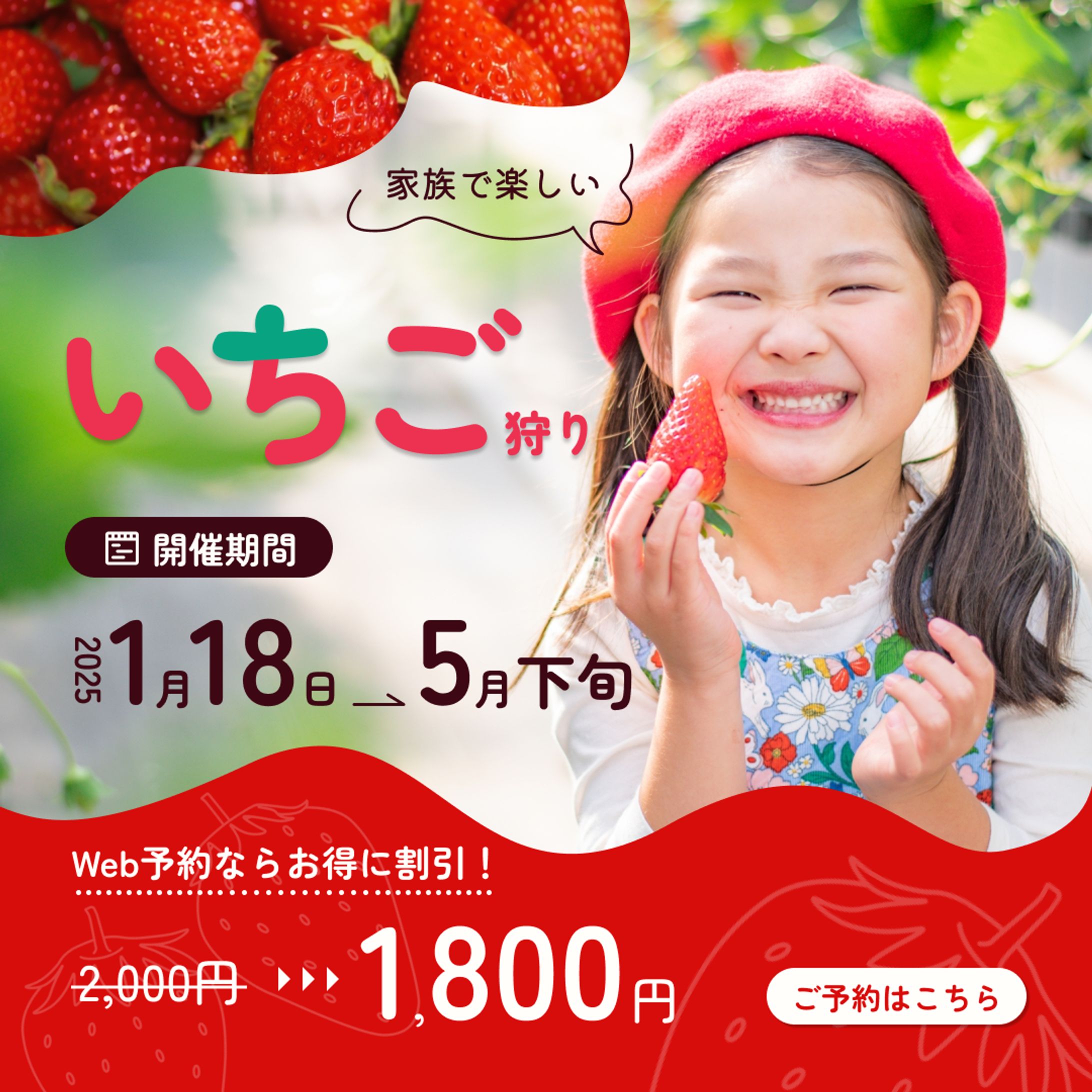 いちご狩りバナーデザイン-1
