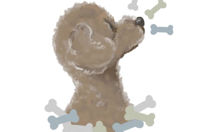 いとこんちのイヌ