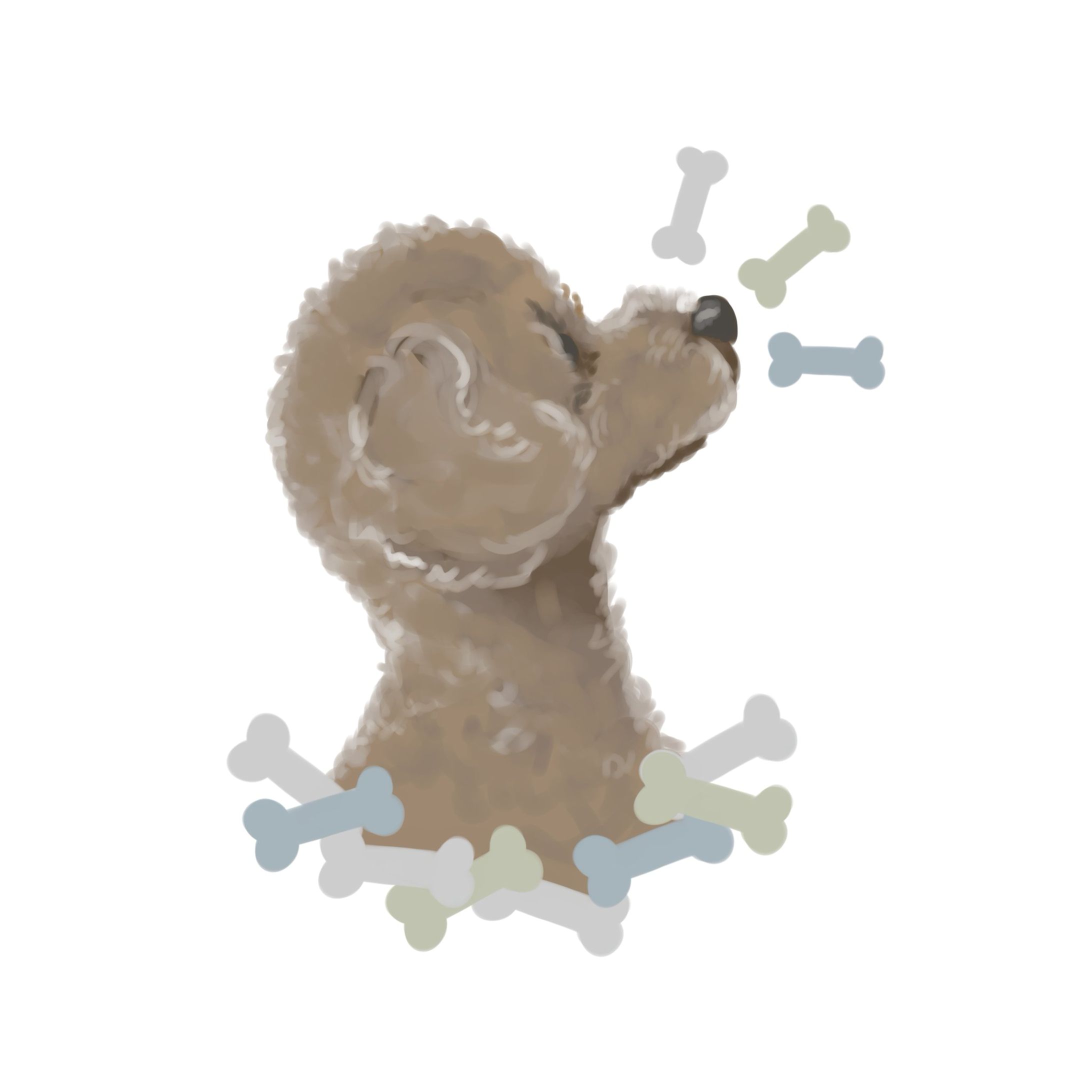 いとこんちのイヌ-1